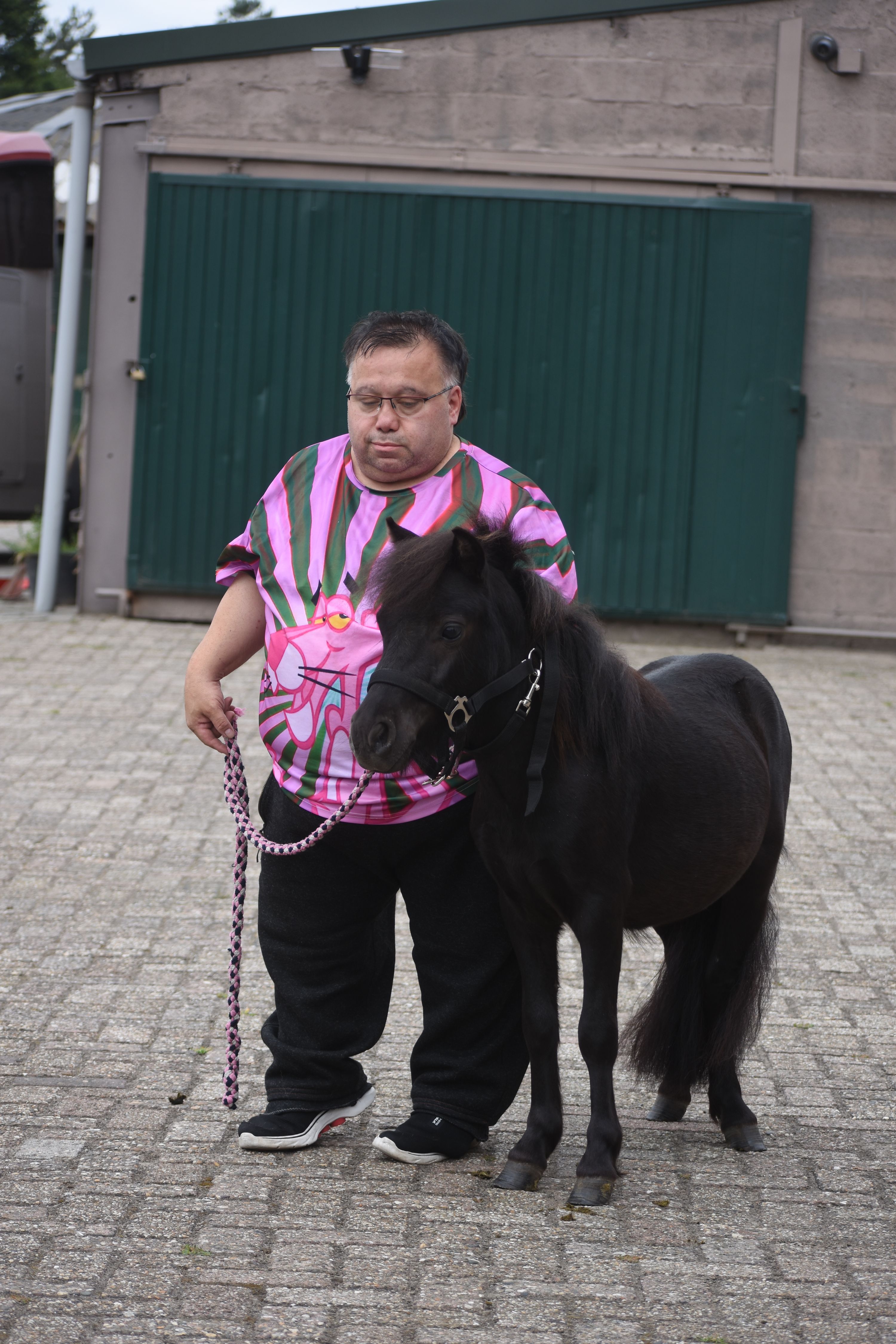 shetland allround-pony hengst 2 jaar zwart te koop - Foto 2