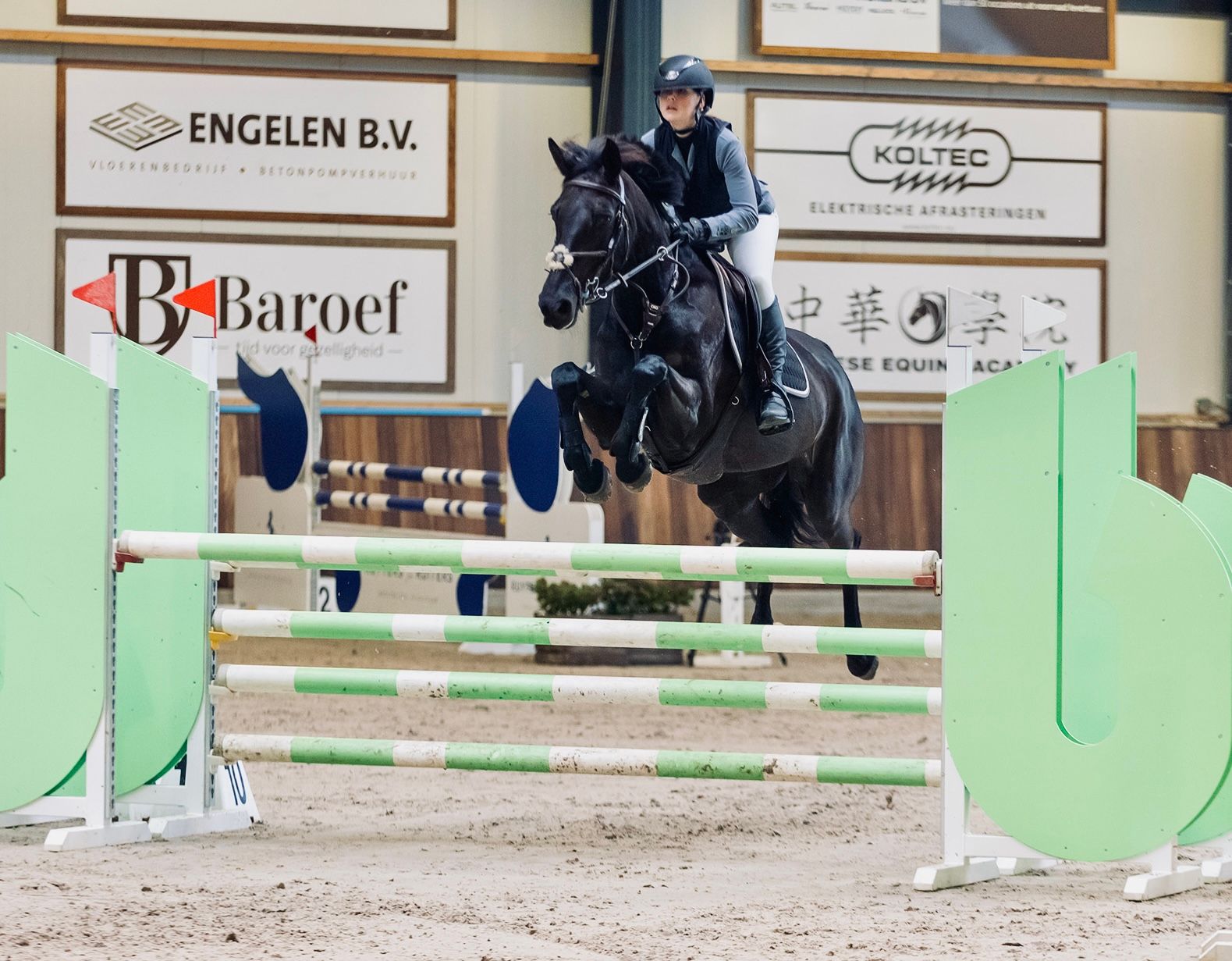 zangersheide springpaard merrie 10 岁 zwart 出售 - 照片 4