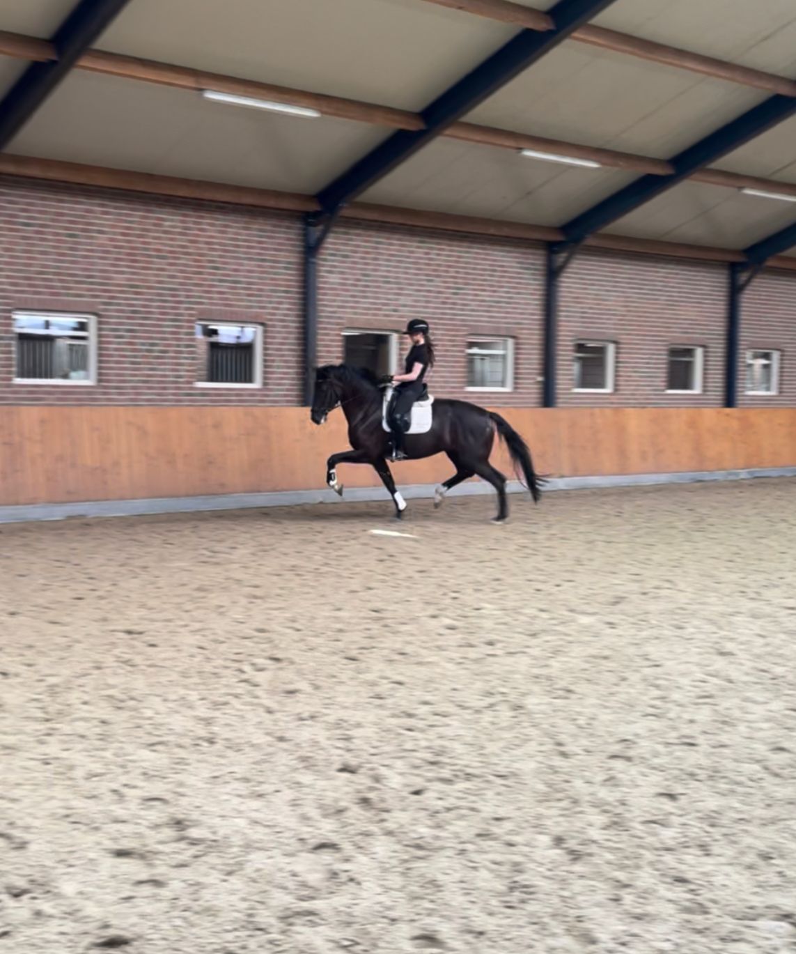 kwpn dressuurpaard merrie 4 years old zwart for sale - Photo 3