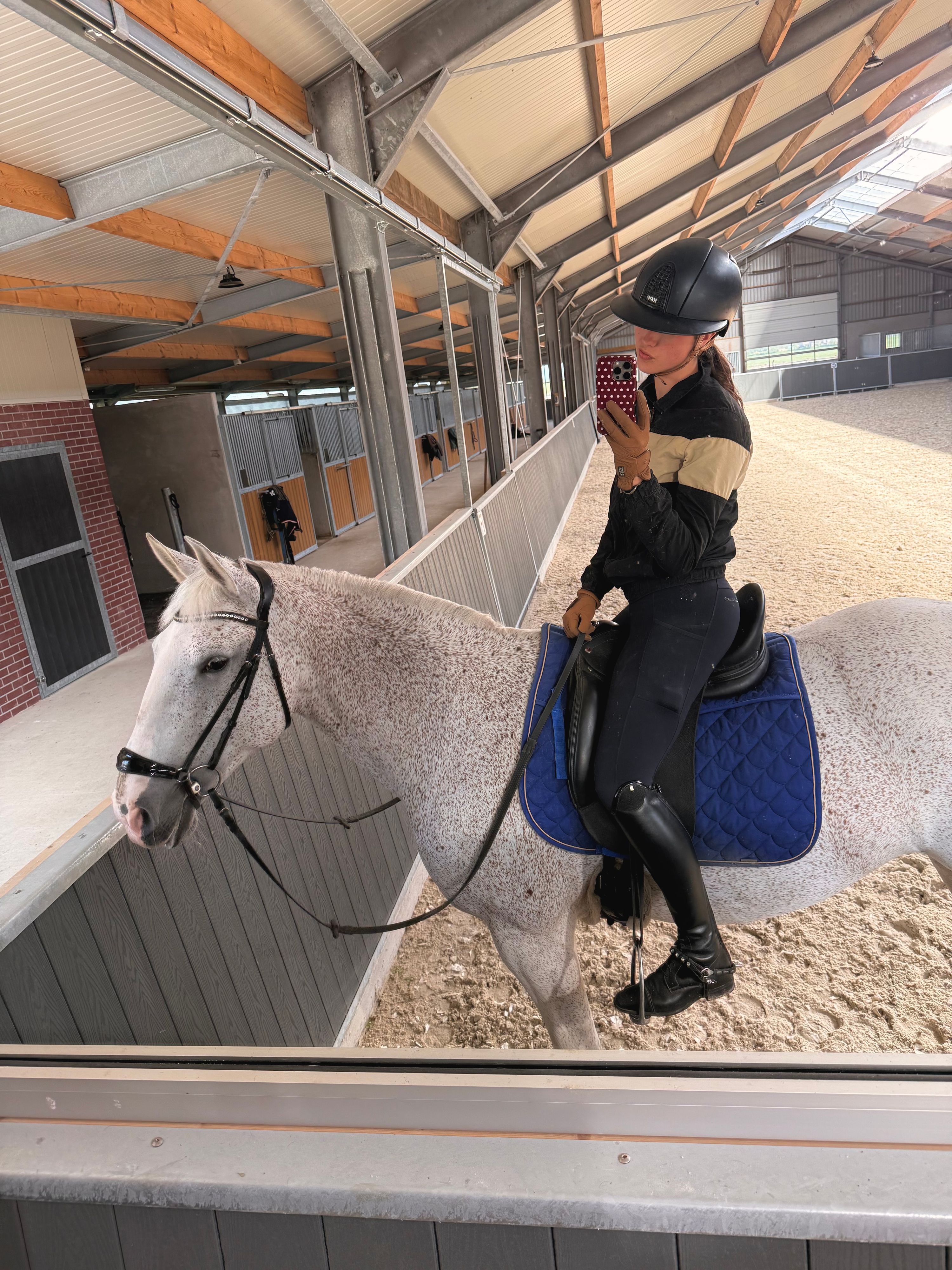 lusitano dressuurpaard merrie 13 år schimmel til salgs - Foto 5