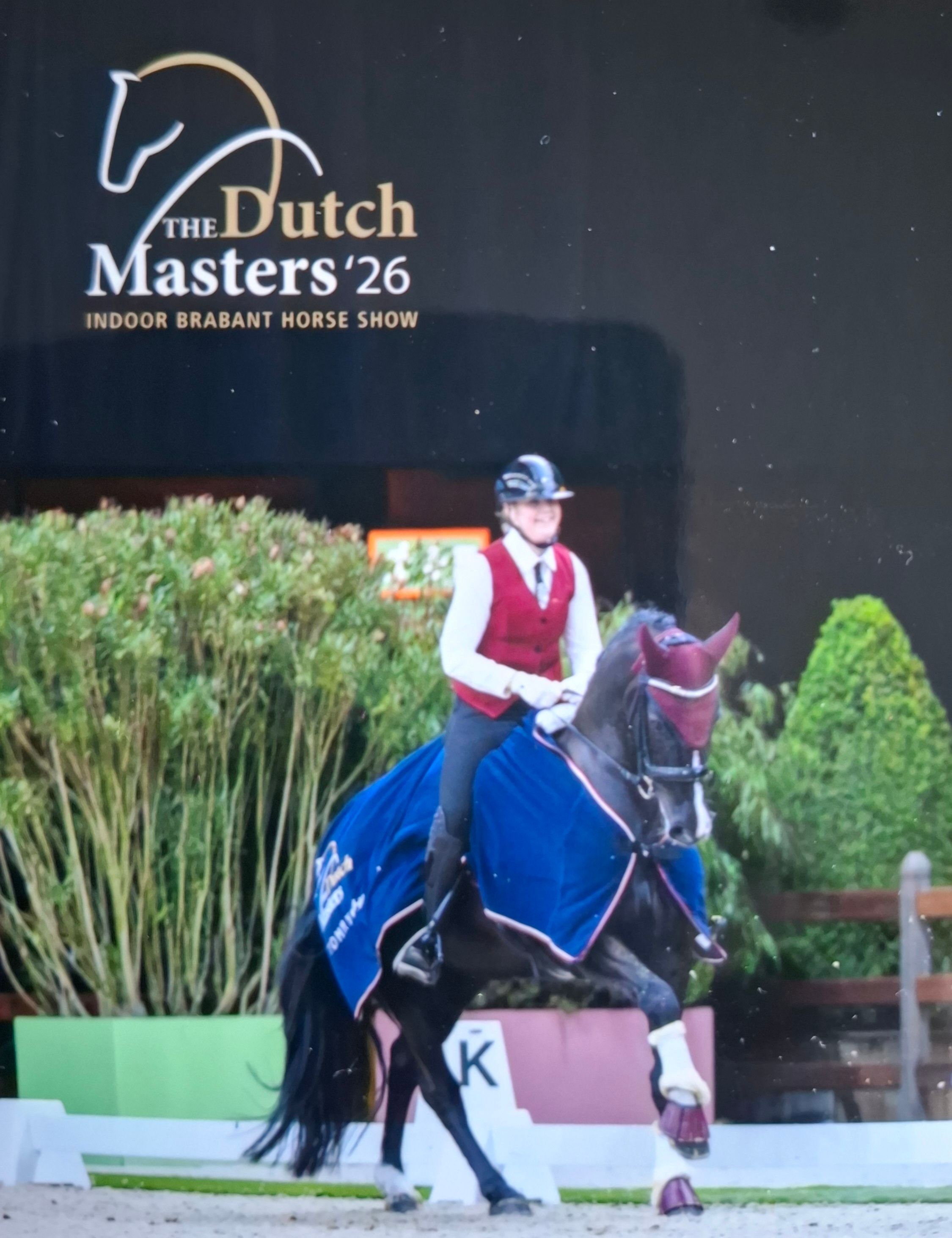 anglo-europees dressuurpaard merrie 12 jaar zwart te koop - Foto 5