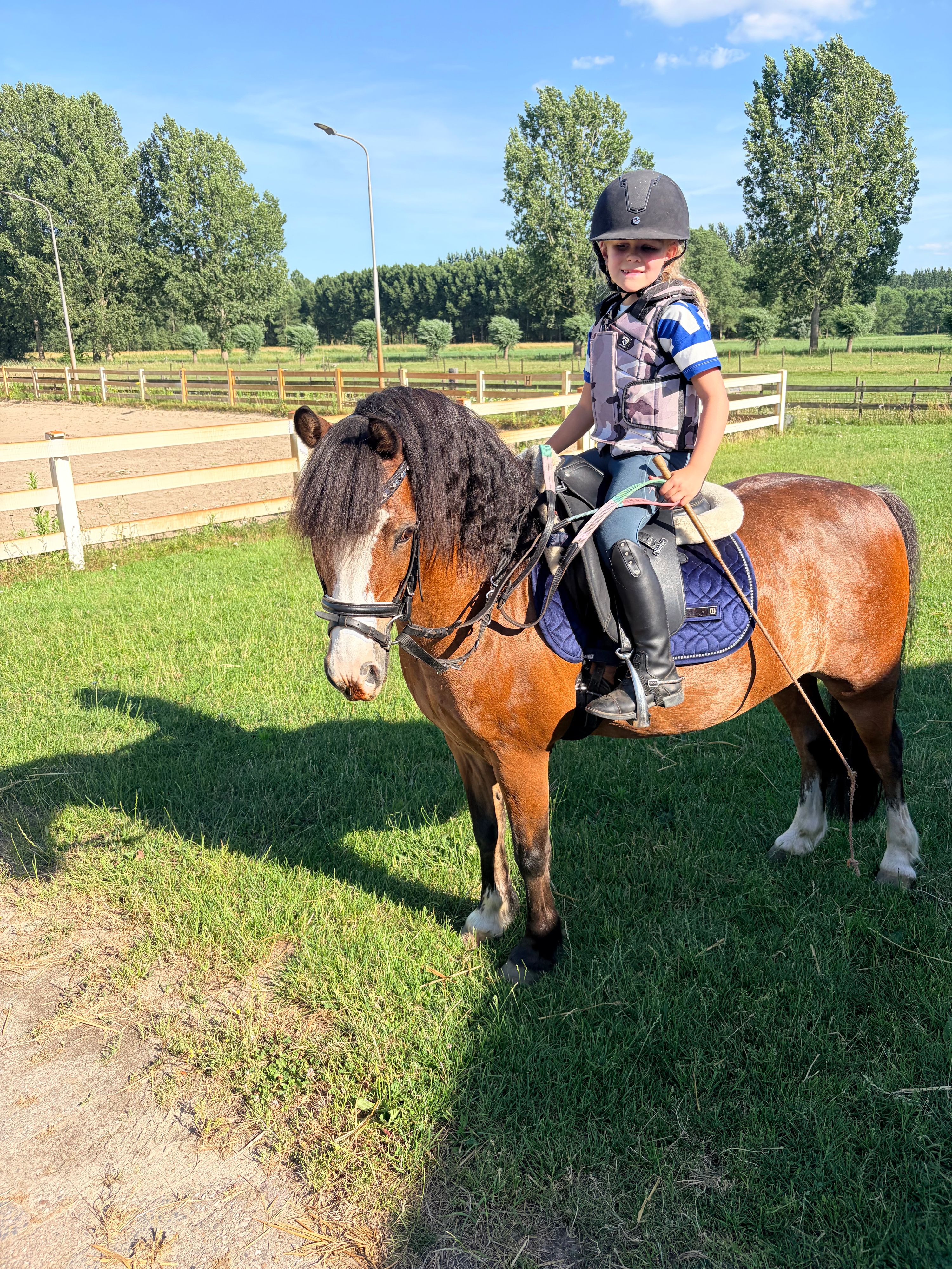 Super lieve Welsh A kinderpony – Quip (11 jaar)