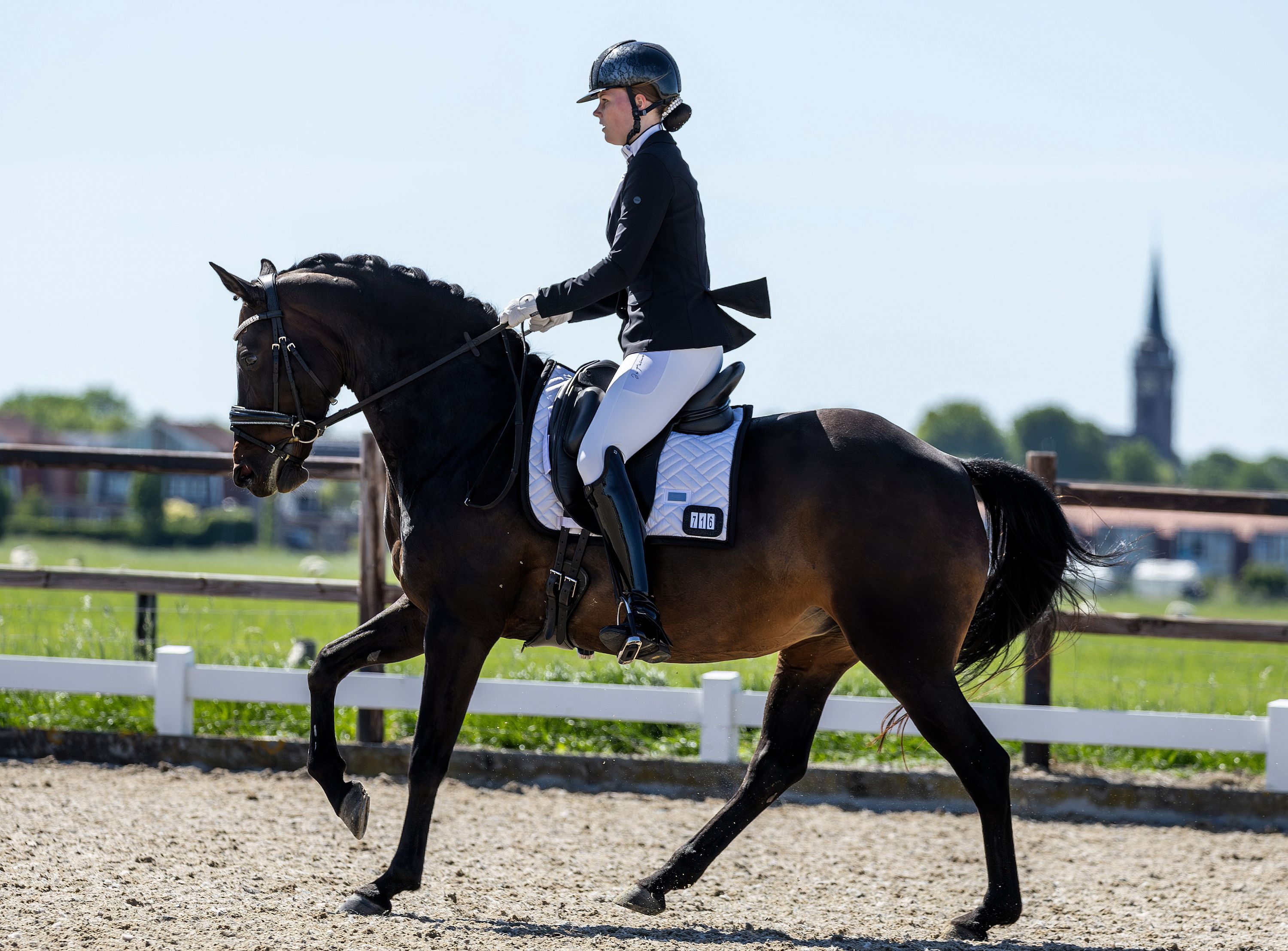 kwpn dressuurpaard merrie 14 years old donkerbruin for sale - Photo 3
