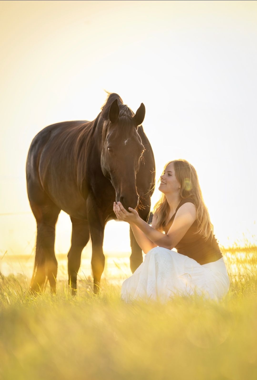 kwpn dressuurpaard merrie 14 years old donkerbruin for sale - Photo 6