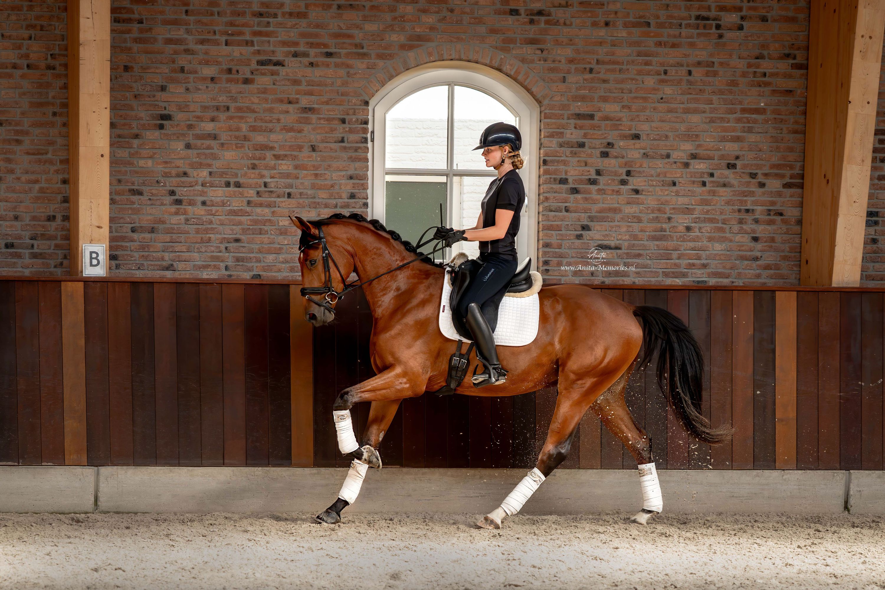 Fynch Hatton X Johnson dressuurpaard ruin 3 歳 donkerbruin 売り出し中 - 写真 2