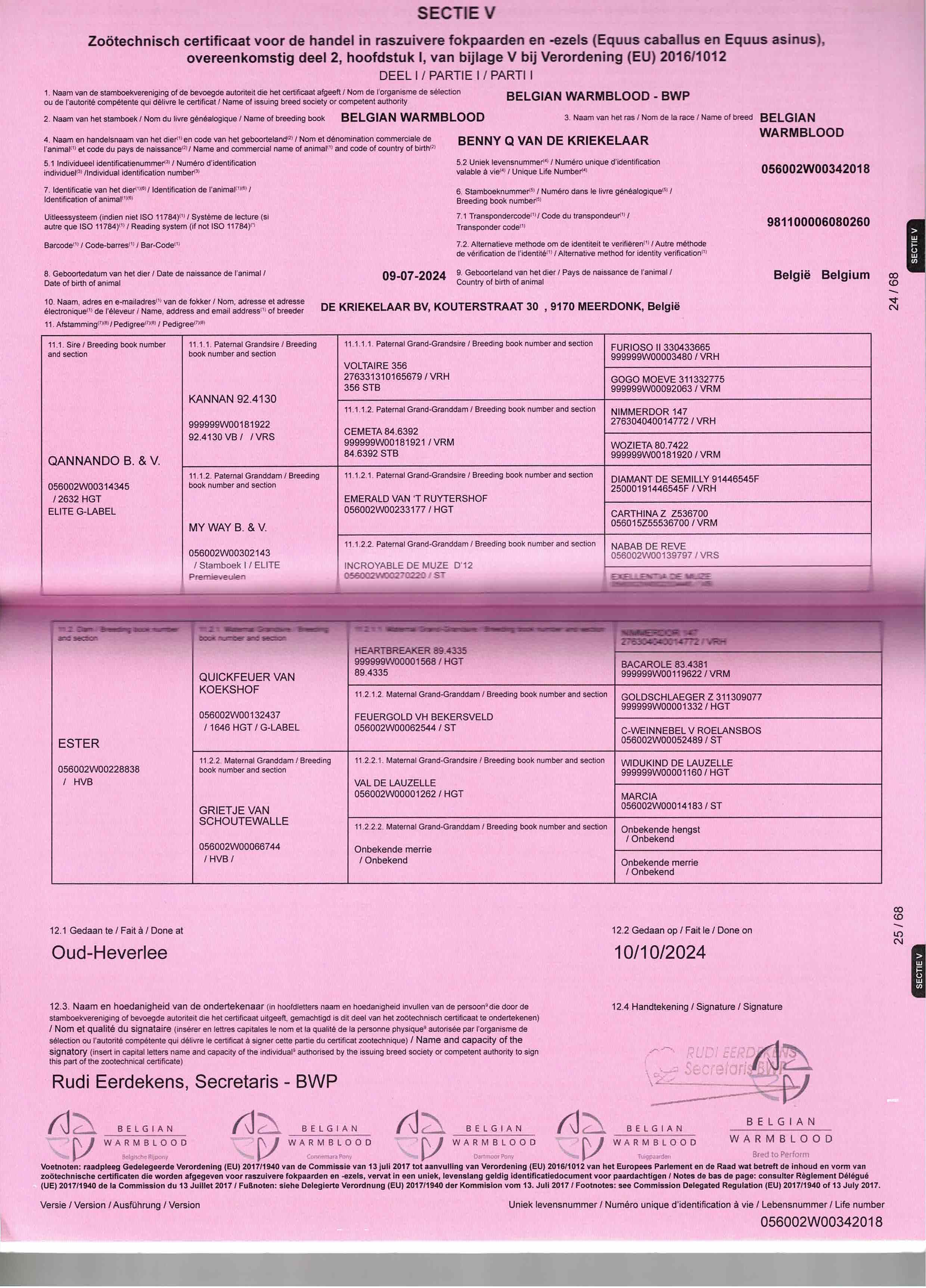 2-årig spranghest