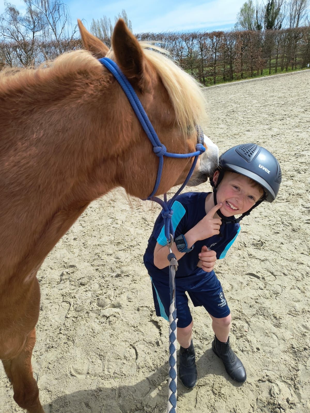 welsh allround-pony merrie 6 år vos till salu - Foto 6