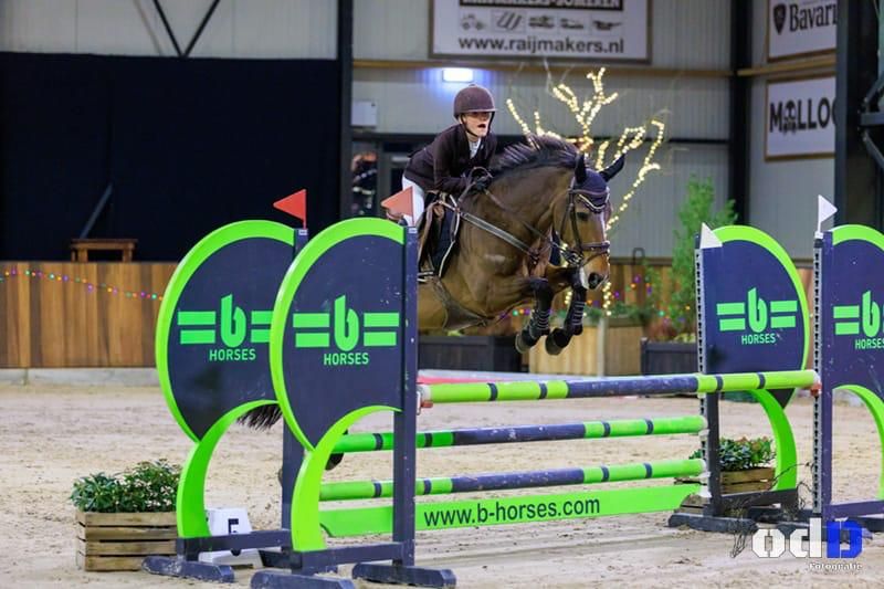 springpony ruin 19 år donkerbruin till salu - Foto 3