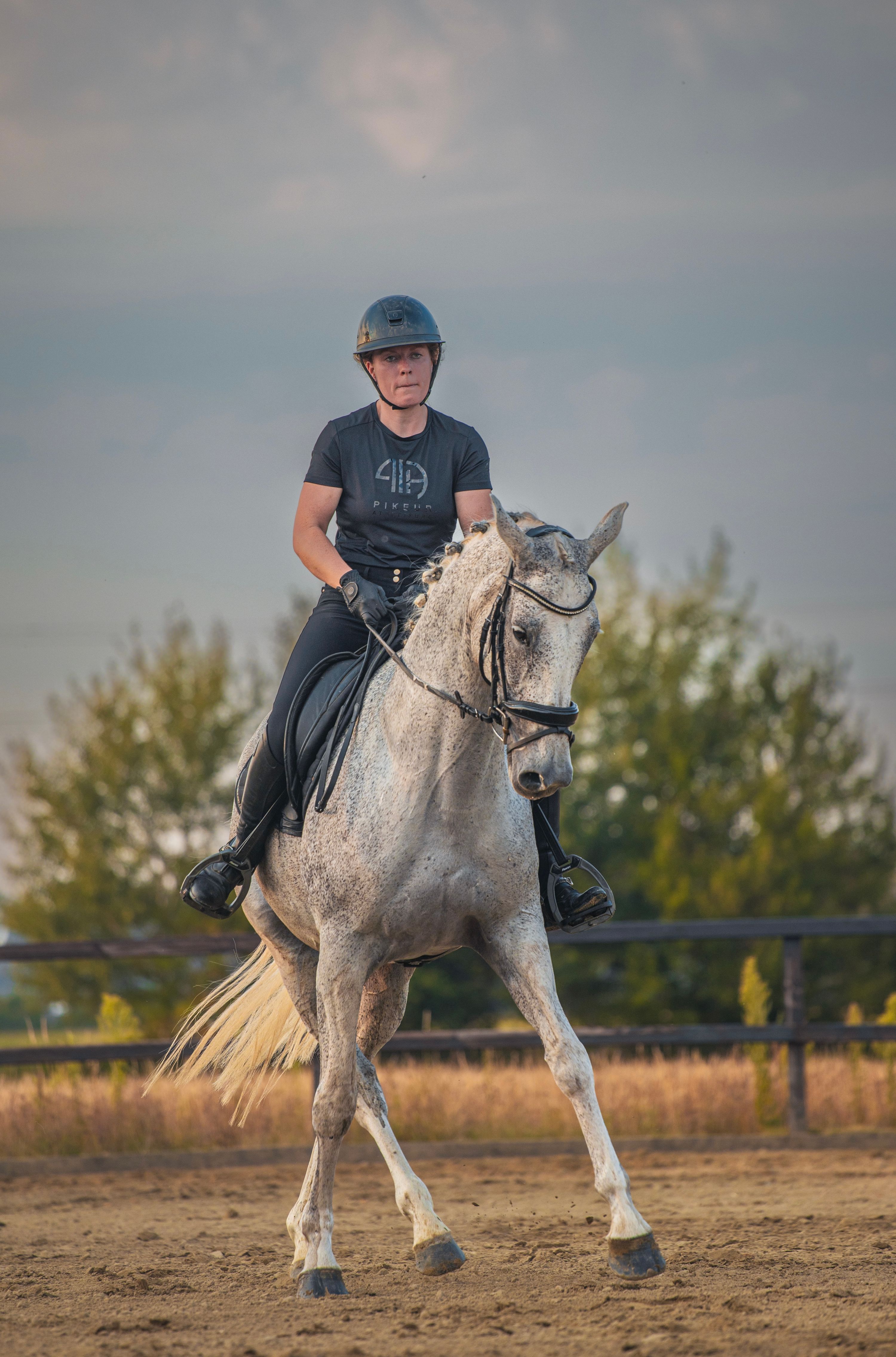 kwpn dressuurpaard merrie 10 jaar schimmel te koop - Foto 5