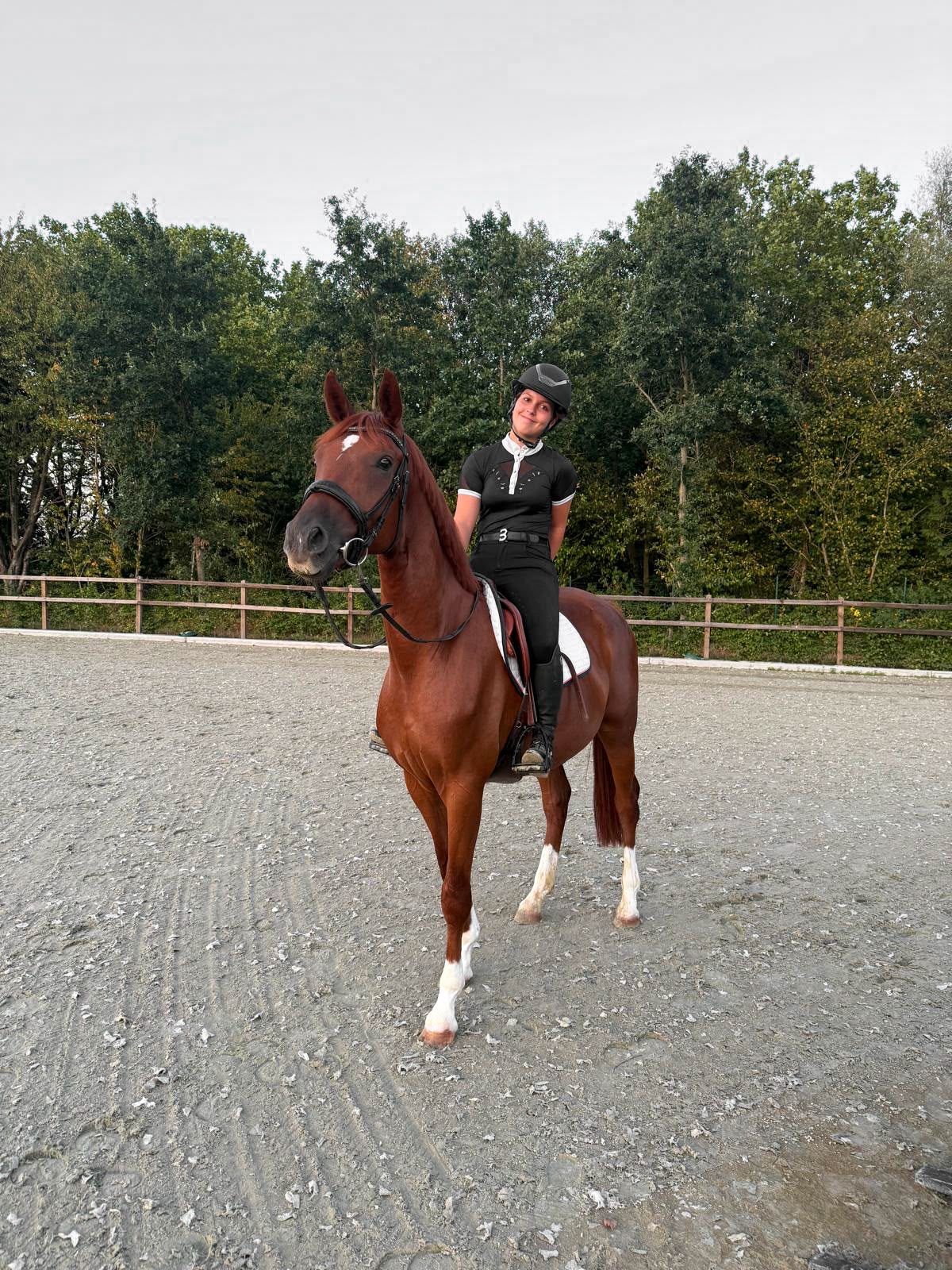 bwp allround-pony ruin 4 år vos till salu - Foto 4