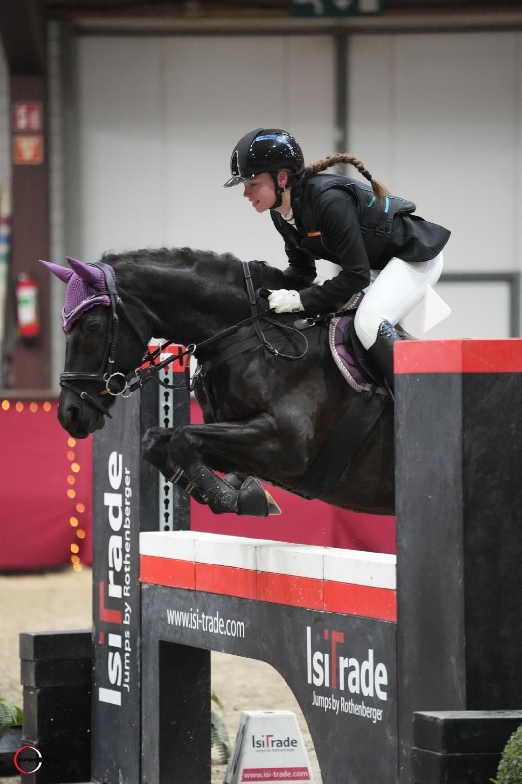 welsh allround-pony ruin 10 jaar zwart te koop - Foto 2