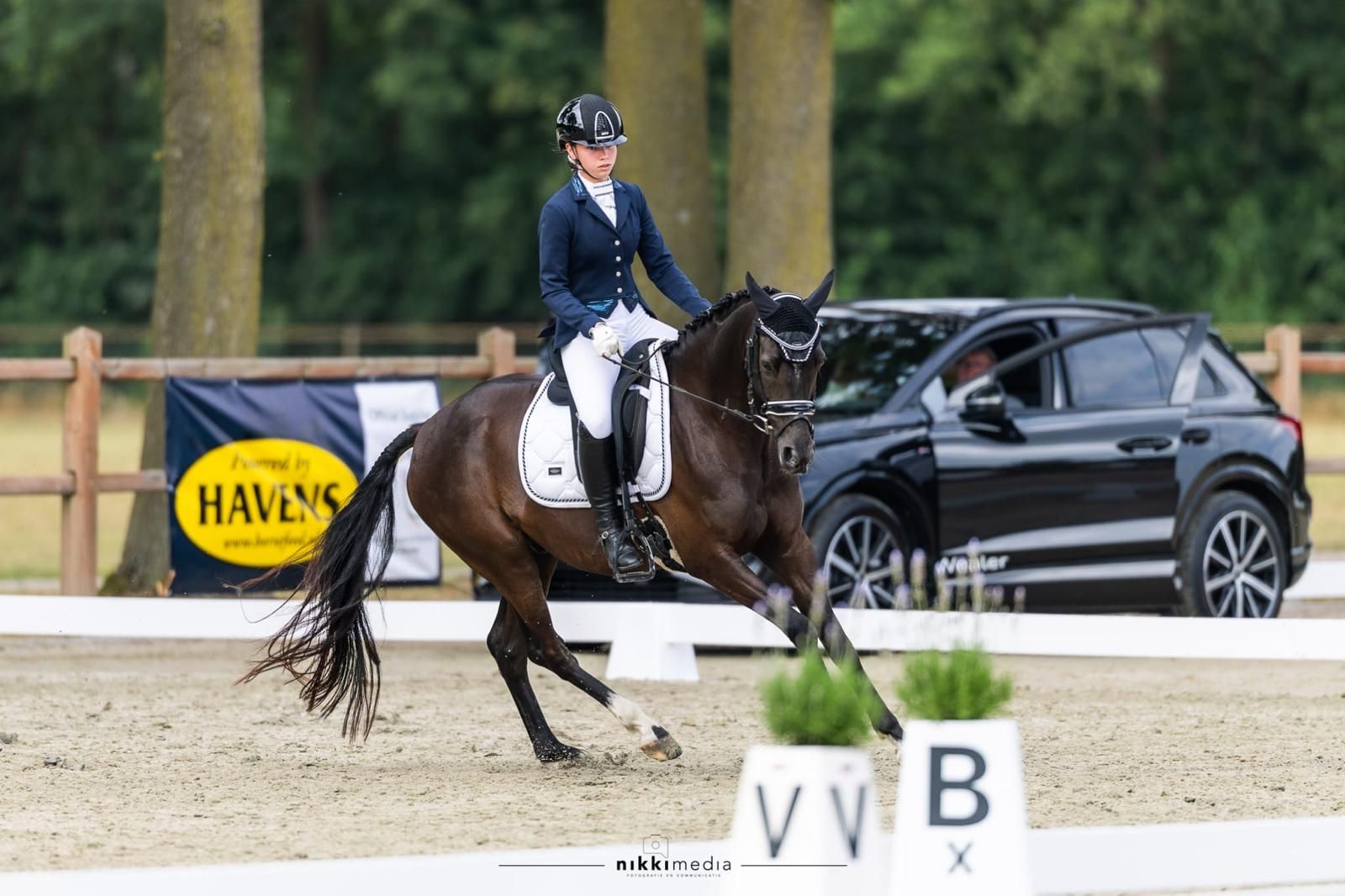 welsh allround-pony ruin 10 jaar zwart te koop - Foto 5