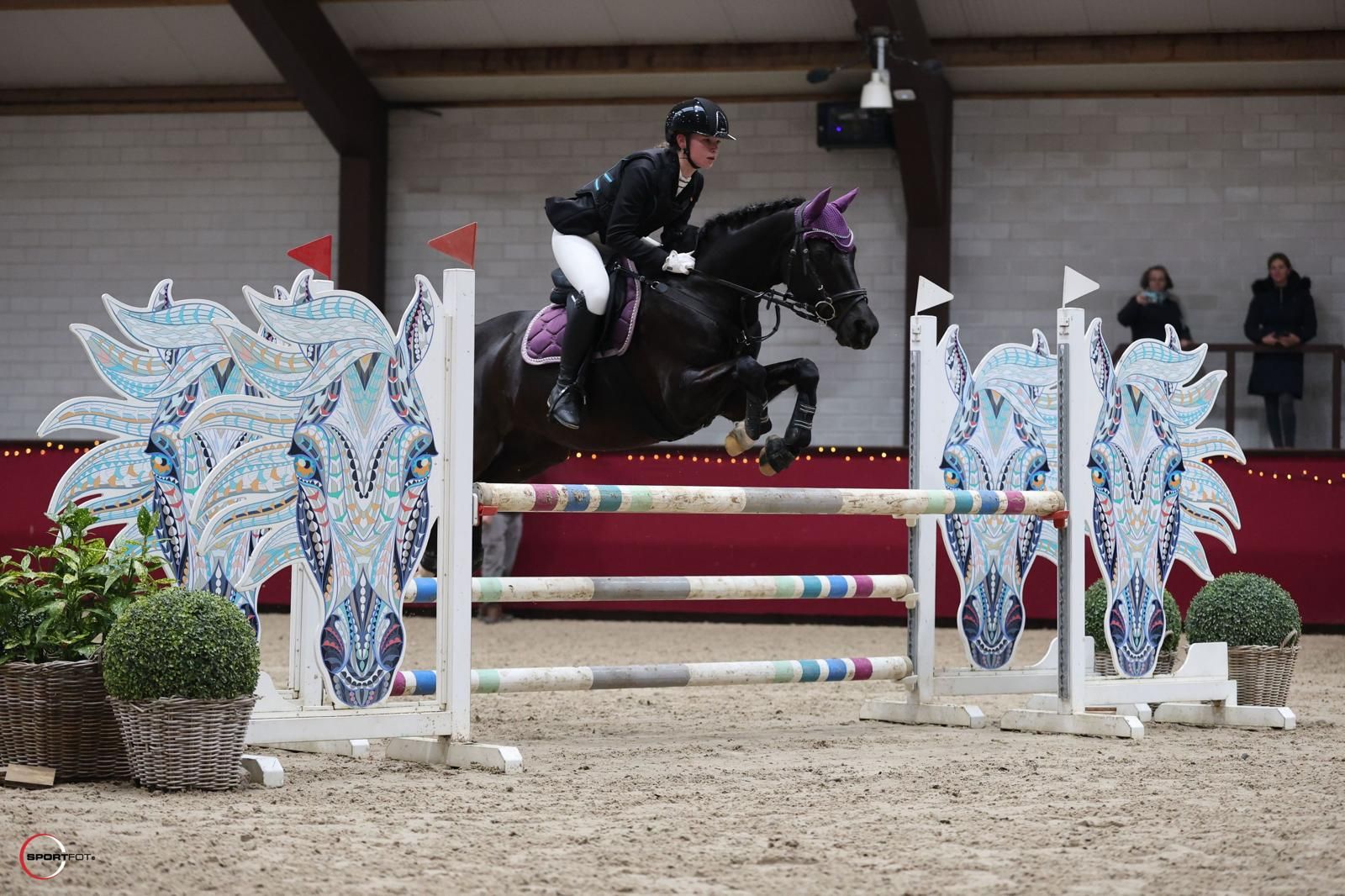 welsh allround-pony ruin 10 jaar zwart te koop - Foto 4