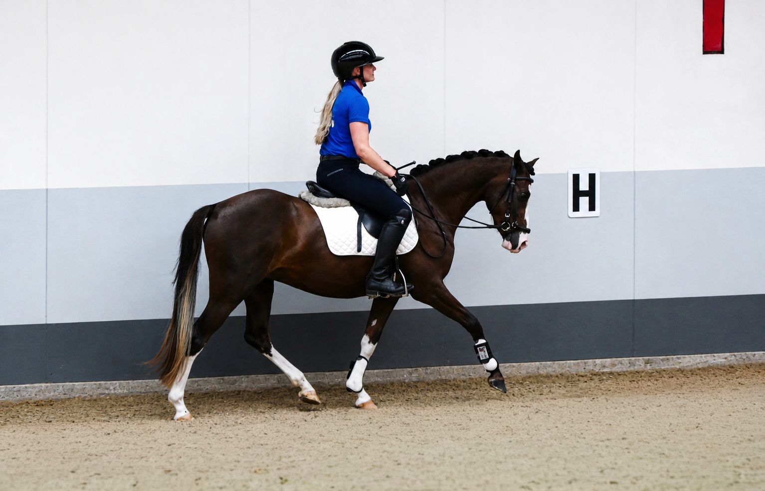 nrps allround-pony merrie 3 jaar andere-kleur te koop - Foto 5