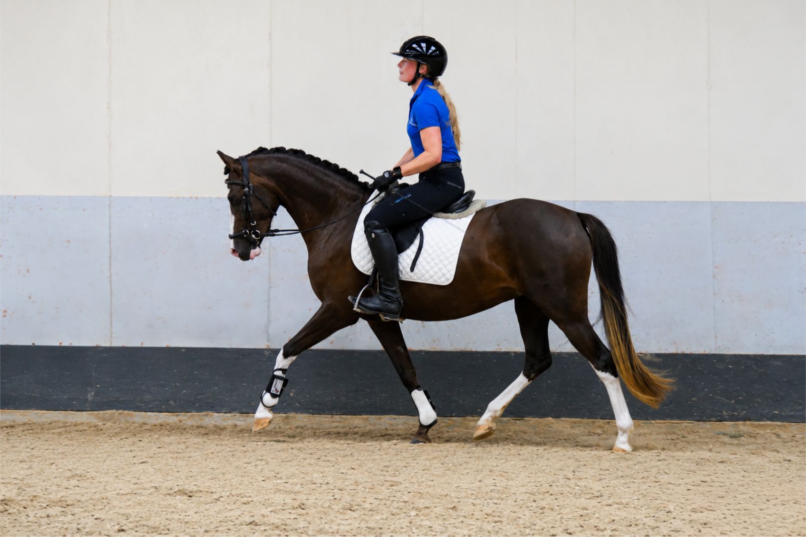 nrps allround-pony merrie 3 jaar andere-kleur te koop - Foto 4