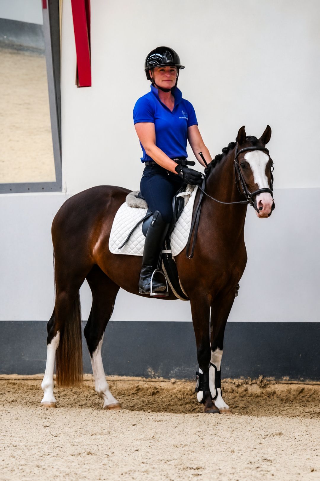 nrps allround-pony merrie 3 jaar andere-kleur te koop - Foto 2