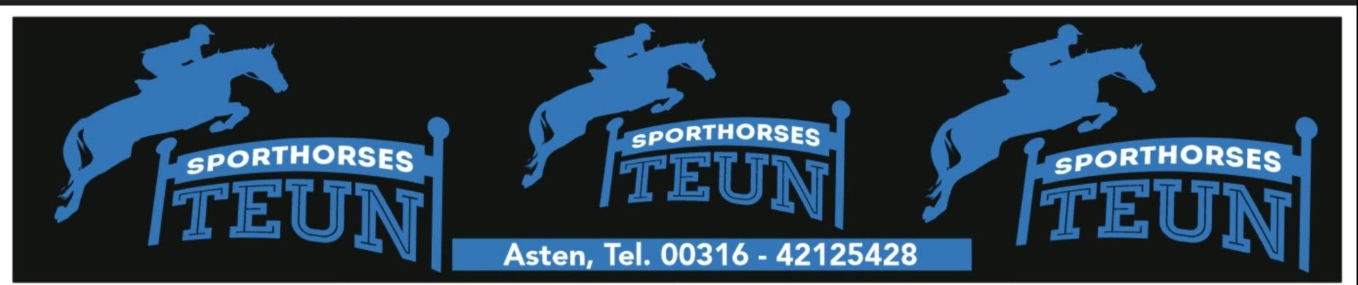 kwpn springpaard merrie 4 Jahre alt bruin zu verkaufen - Foto 5