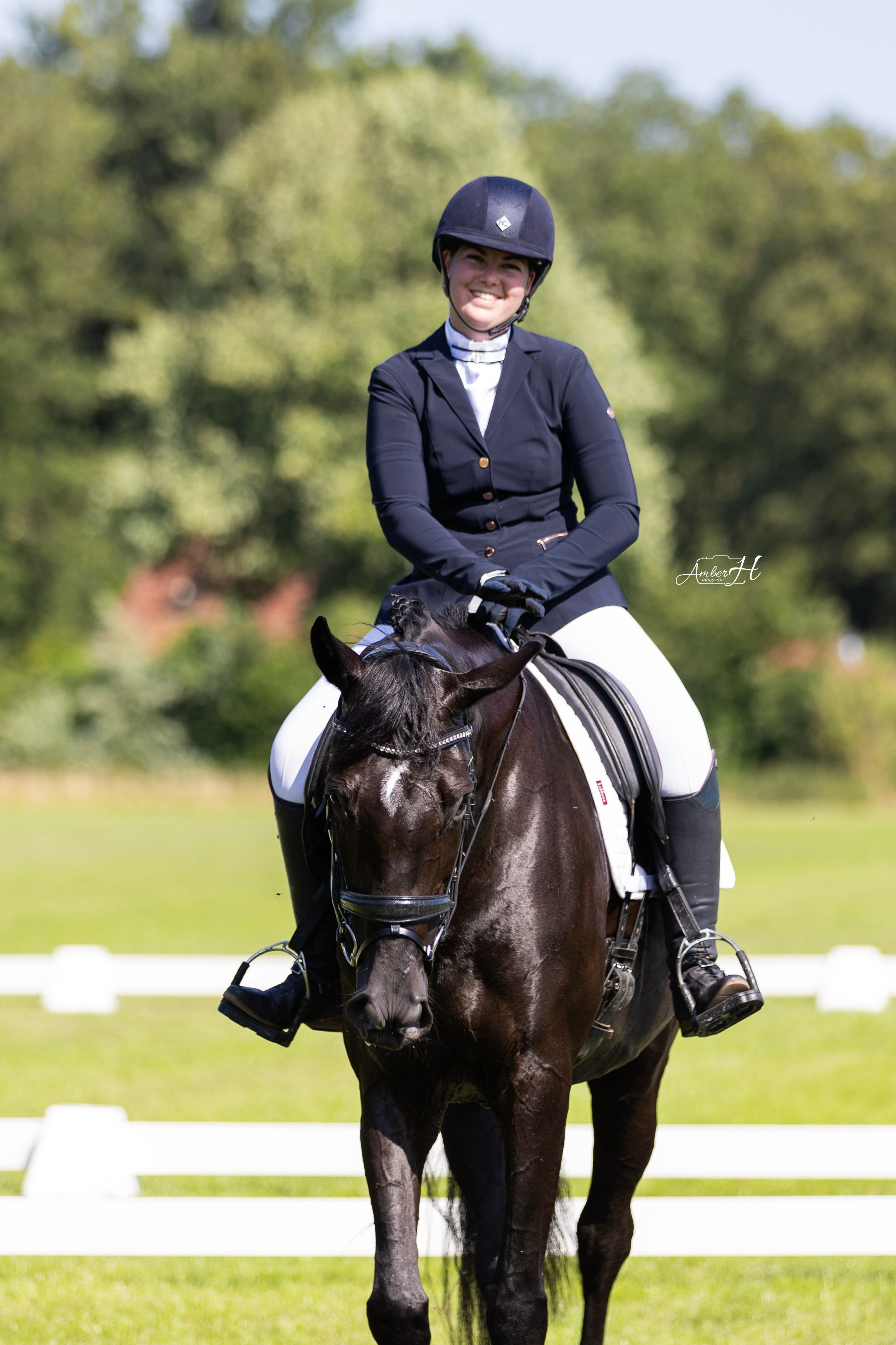 kwpn allrounder merrie 11 Jahre alt zwart zu verkaufen - Foto 3