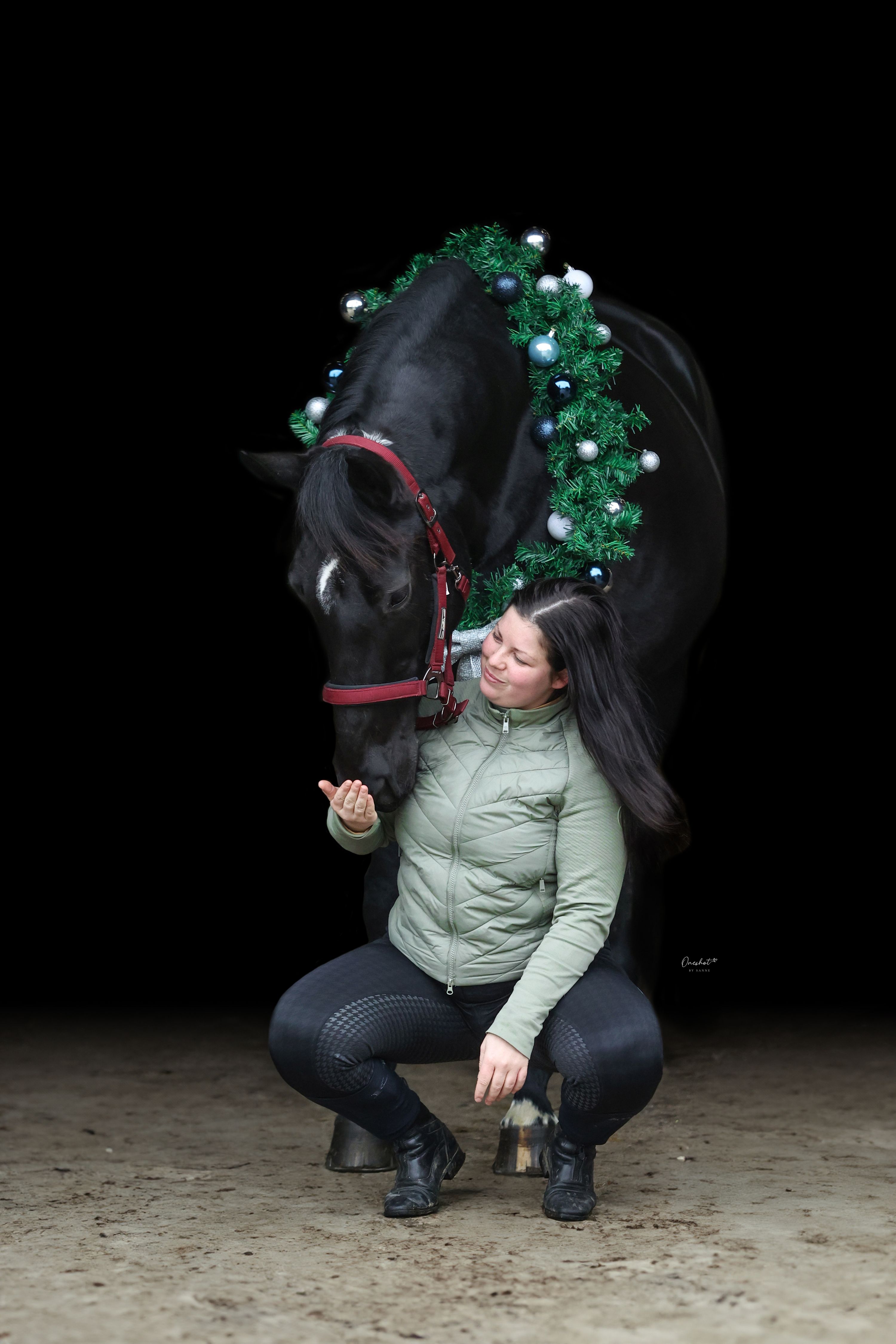 kwpn allrounder merrie 11 Jahre alt zwart zu verkaufen - Foto 6