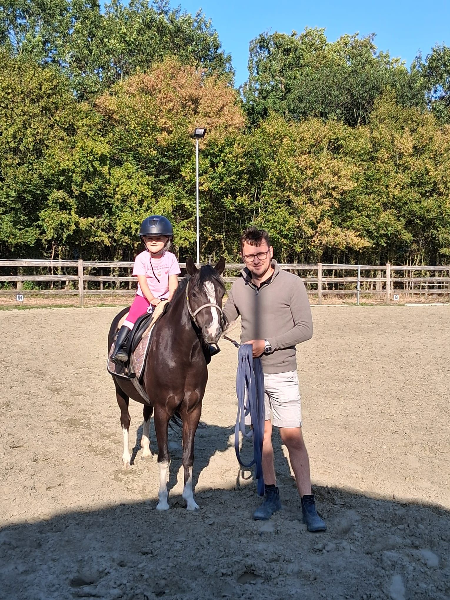 bwp springpony merrie 4 jaar donkerbruin te koop - Foto 4