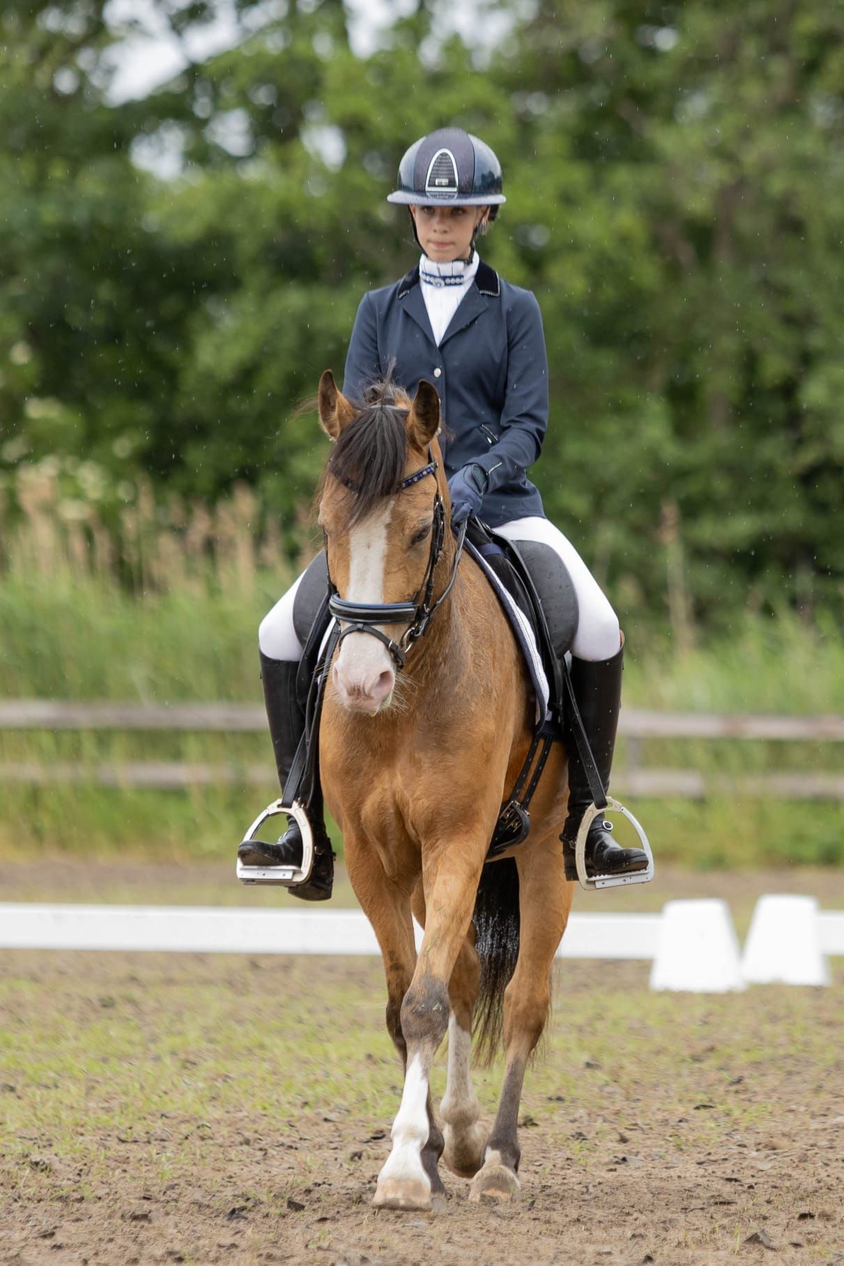 nrps allround-pony ruin 5 jaar andere-kleur te koop - Foto 3