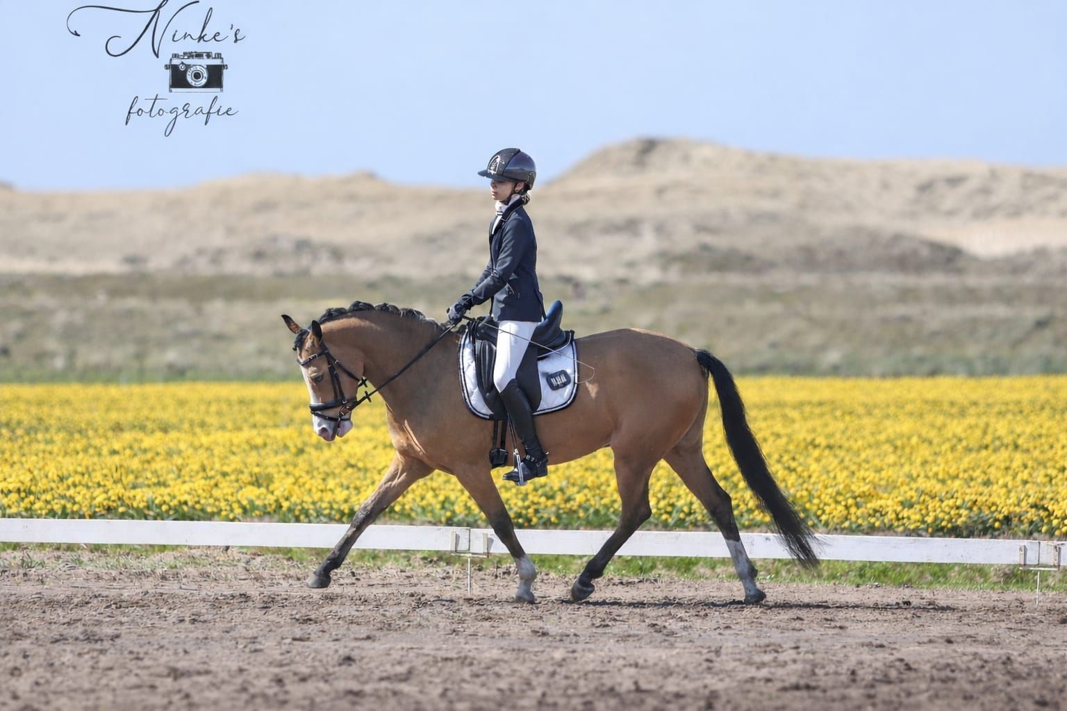 nrps allround-pony ruin 5 jaar andere-kleur te koop - Foto 5