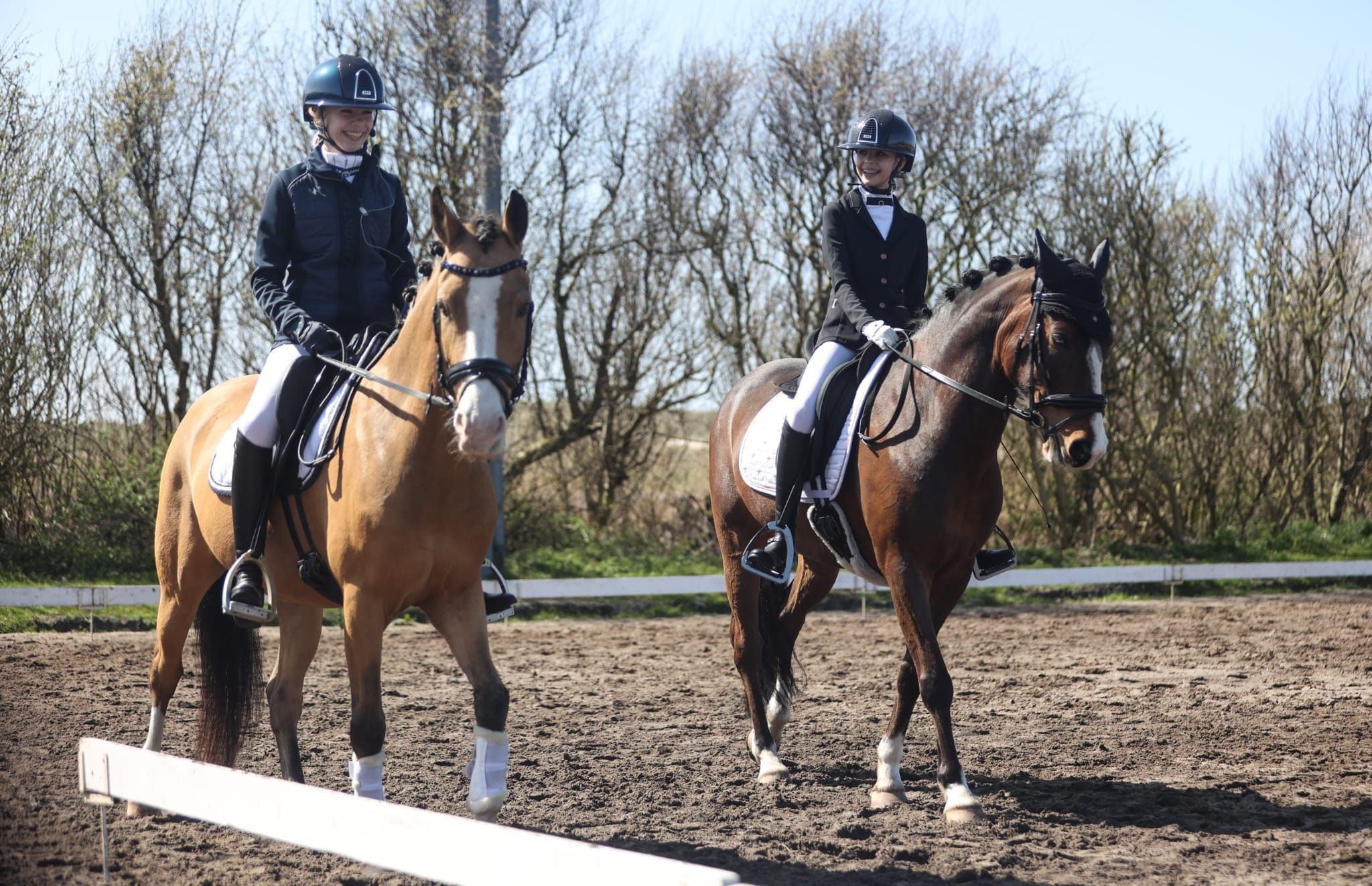 nrps allround-pony ruin 5 jaar andere-kleur te koop - Foto 6