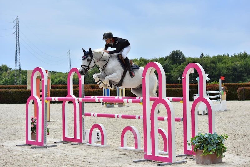 bwp springpony ruin 13 anos schimmel à venda - Foto 3