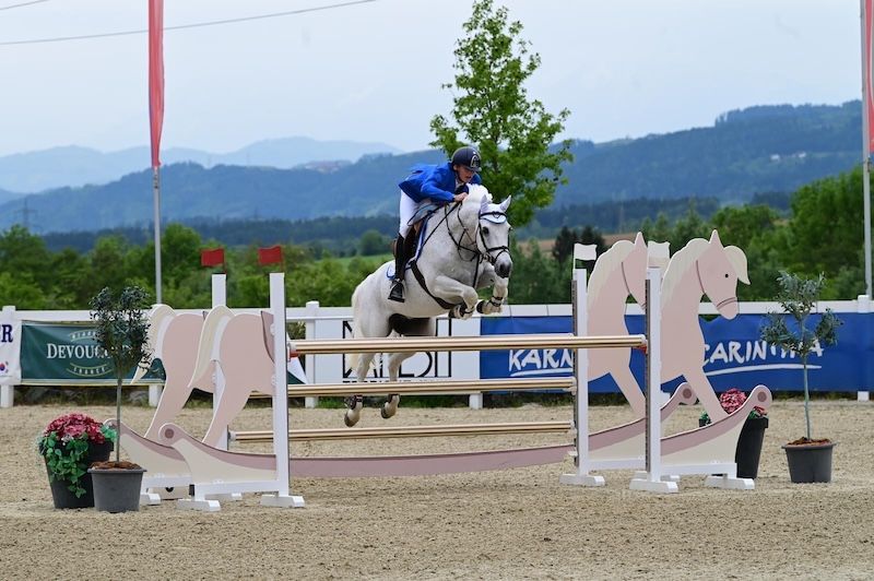 bwp springpony ruin 13 anos schimmel à venda - Foto 2