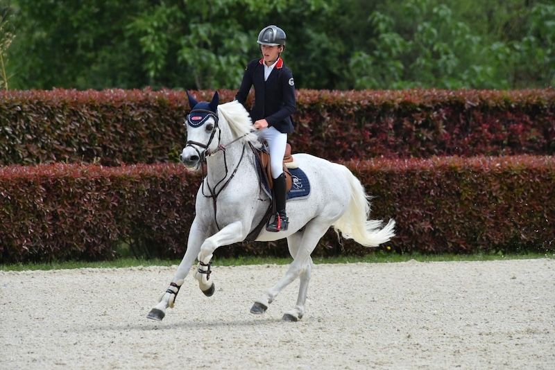 bwp springpony ruin 13 anos schimmel à venda - Foto 4