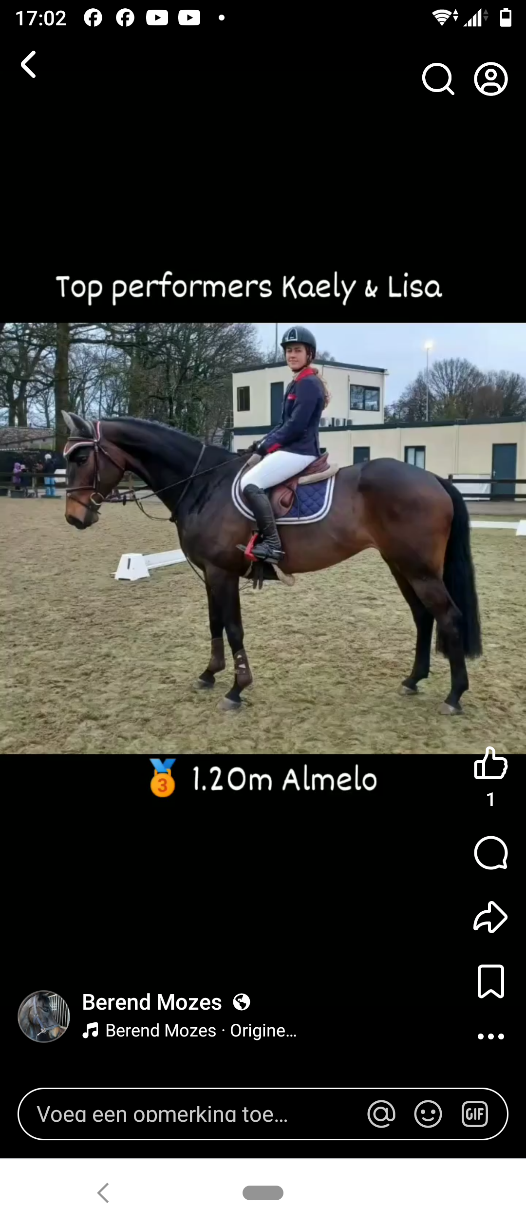 kwpn springpaard merrie 11 岁 donkerbruin 出售 - 照片 4