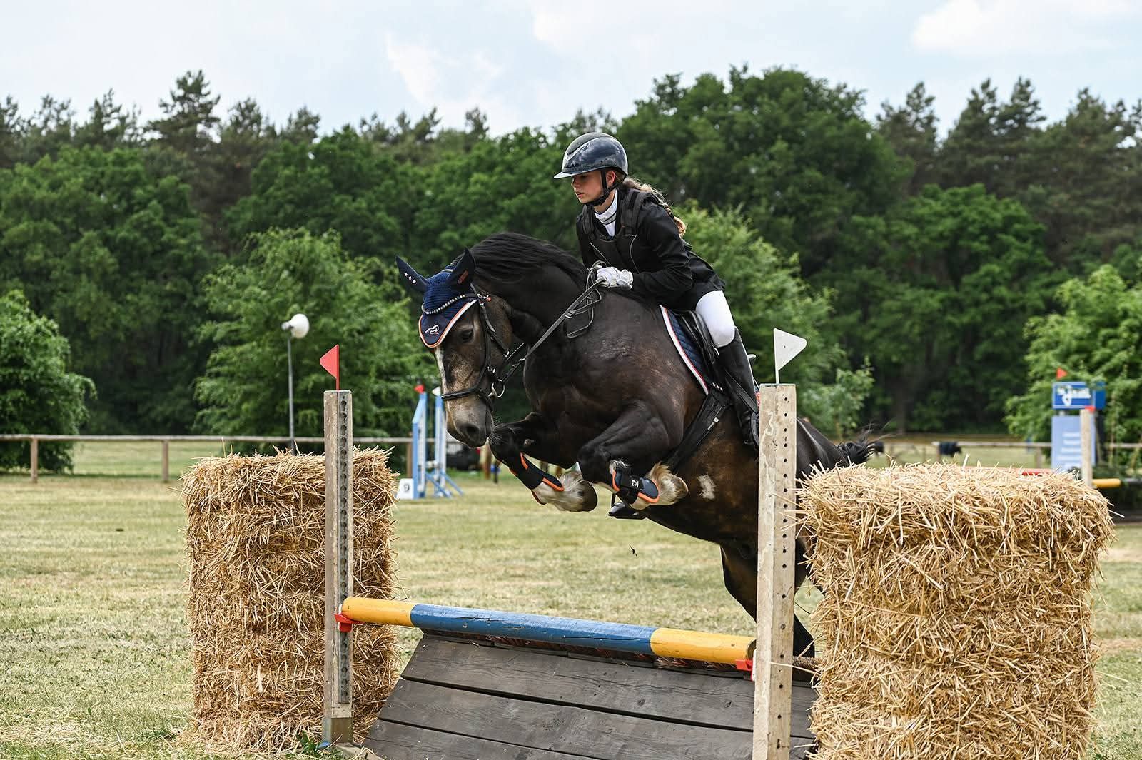 Recreatie E-pony,  13 jaar,  X-WelshCob