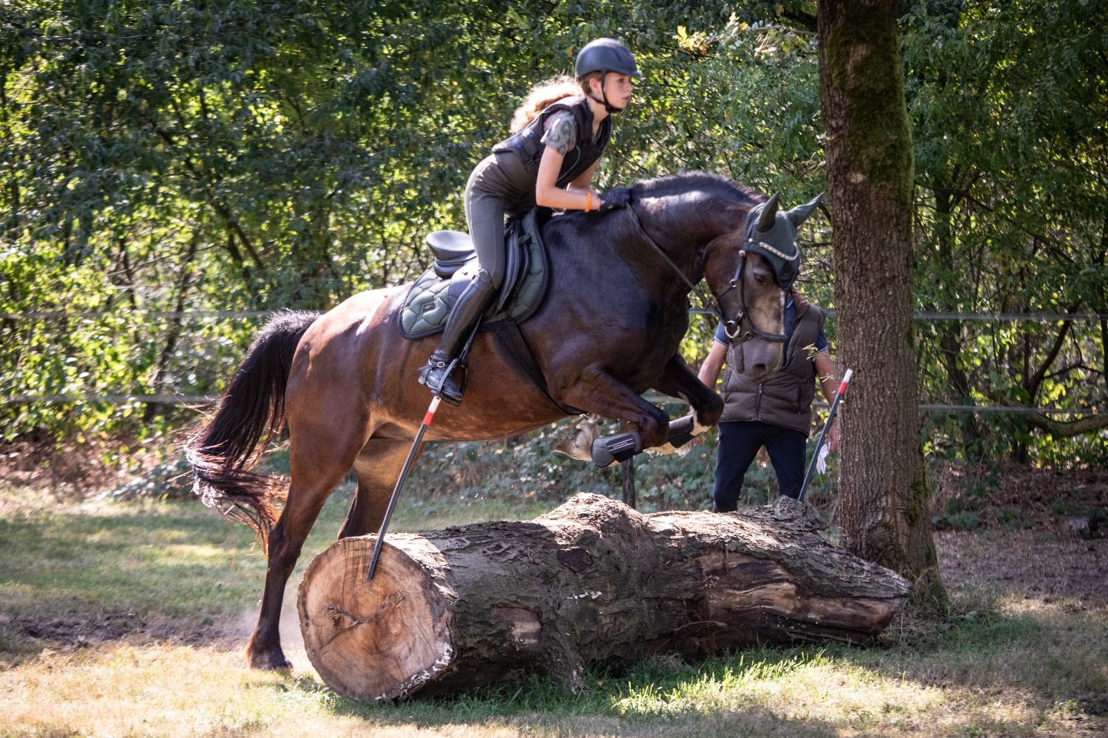 recreatie-pony ruin 13 jaar donkerbruin te koop - Foto 6