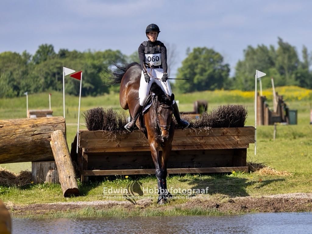 selle-francais eventingpaard merrie 9 år donkerbruin till salu - Foto 2