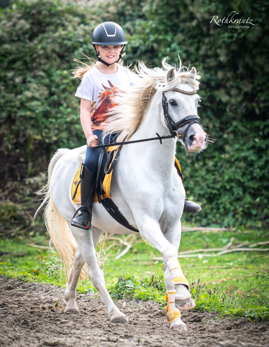 welsh allround-pony ruin 19 jaar schimmel te koop - Foto 6