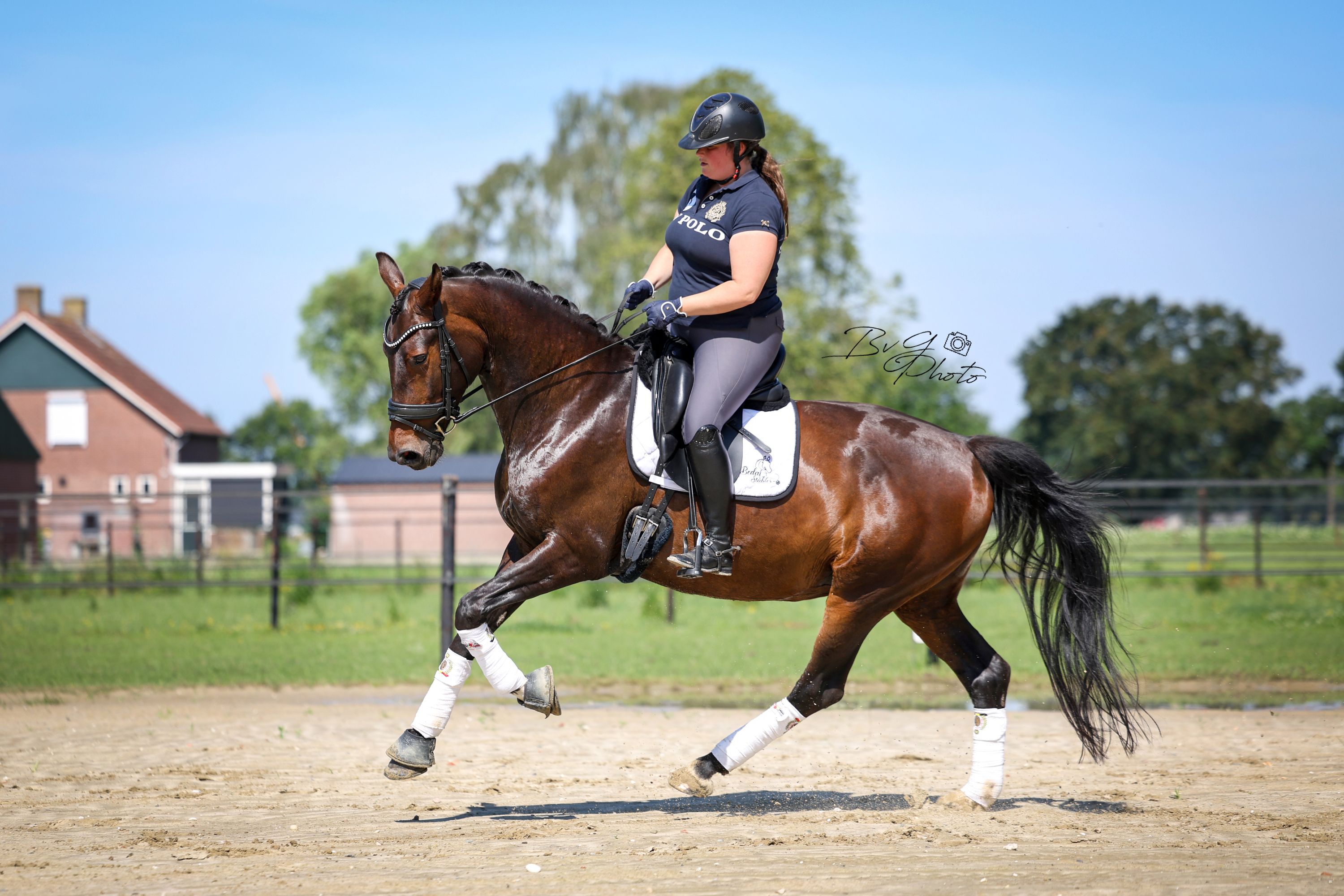 Super cool 8-year-old mare!