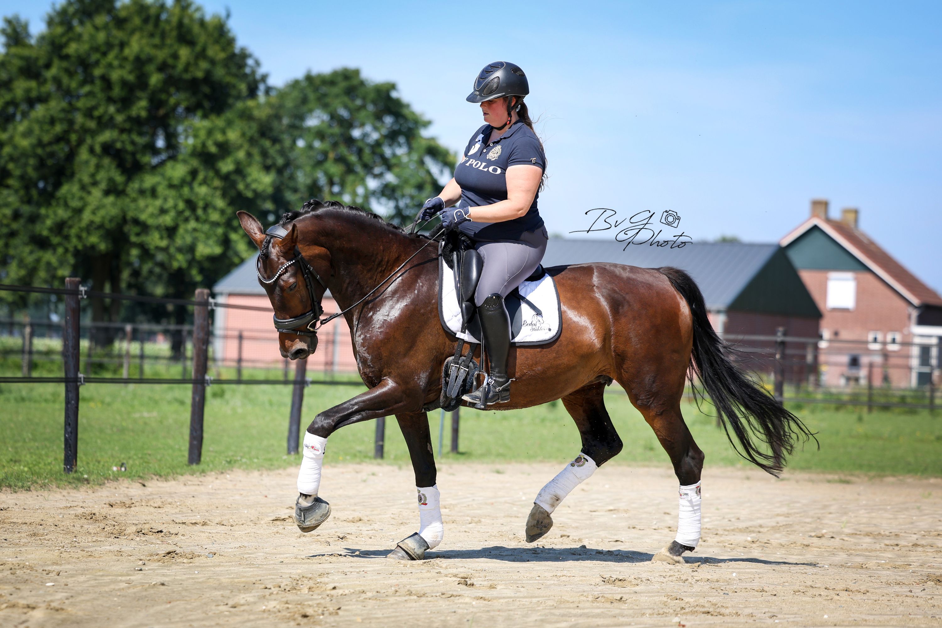 kwpn dressuurpaard merrie 8 years old donkerbruin for sale - Photo 4