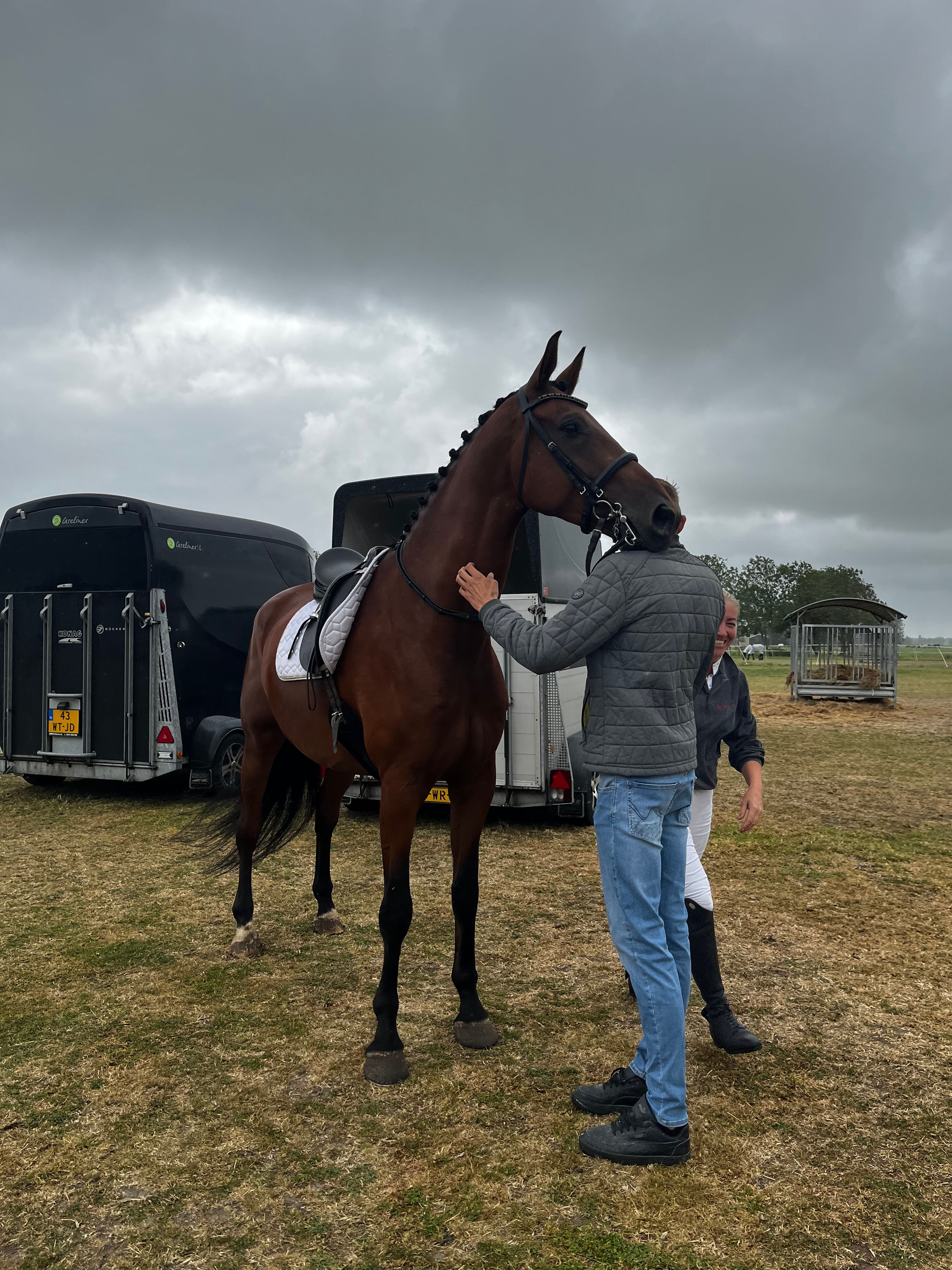 kwpn dressuurpaard ruin 8 anni bruin in vendita - Foto 3