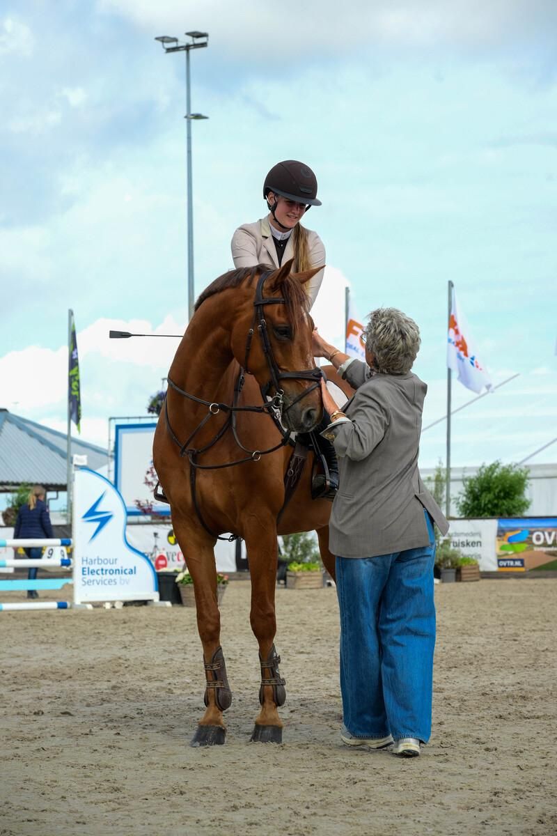 kwpn springpaard ruin 10 years old vos for sale - Photo 3