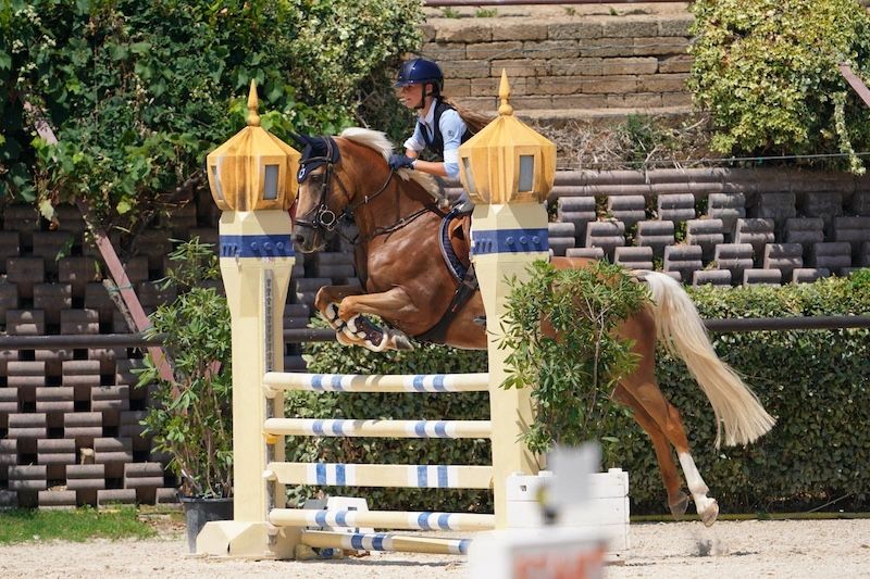 nrps springpony ruin 11 years old palomino for sale - Photo 3