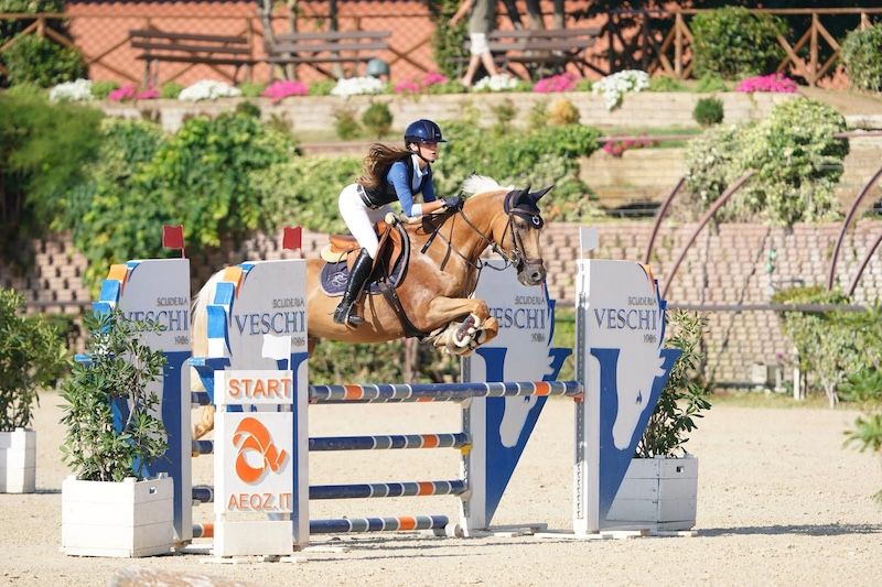 nrps springpony ruin 11 years old palomino for sale - Photo 4