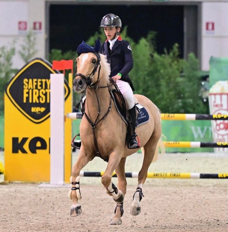 nrps springpony ruin 11 years old palomino for sale - Photo 6