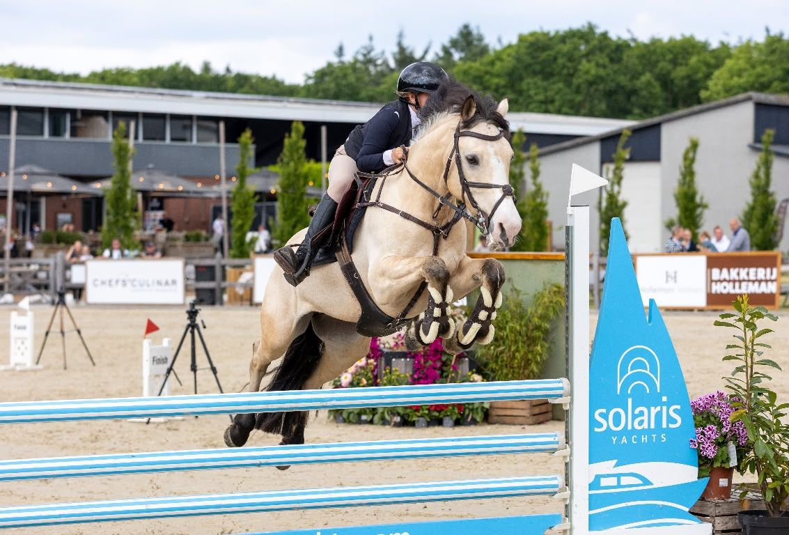 Zuverlässiges, cooles Pony mit Ausstrahlung