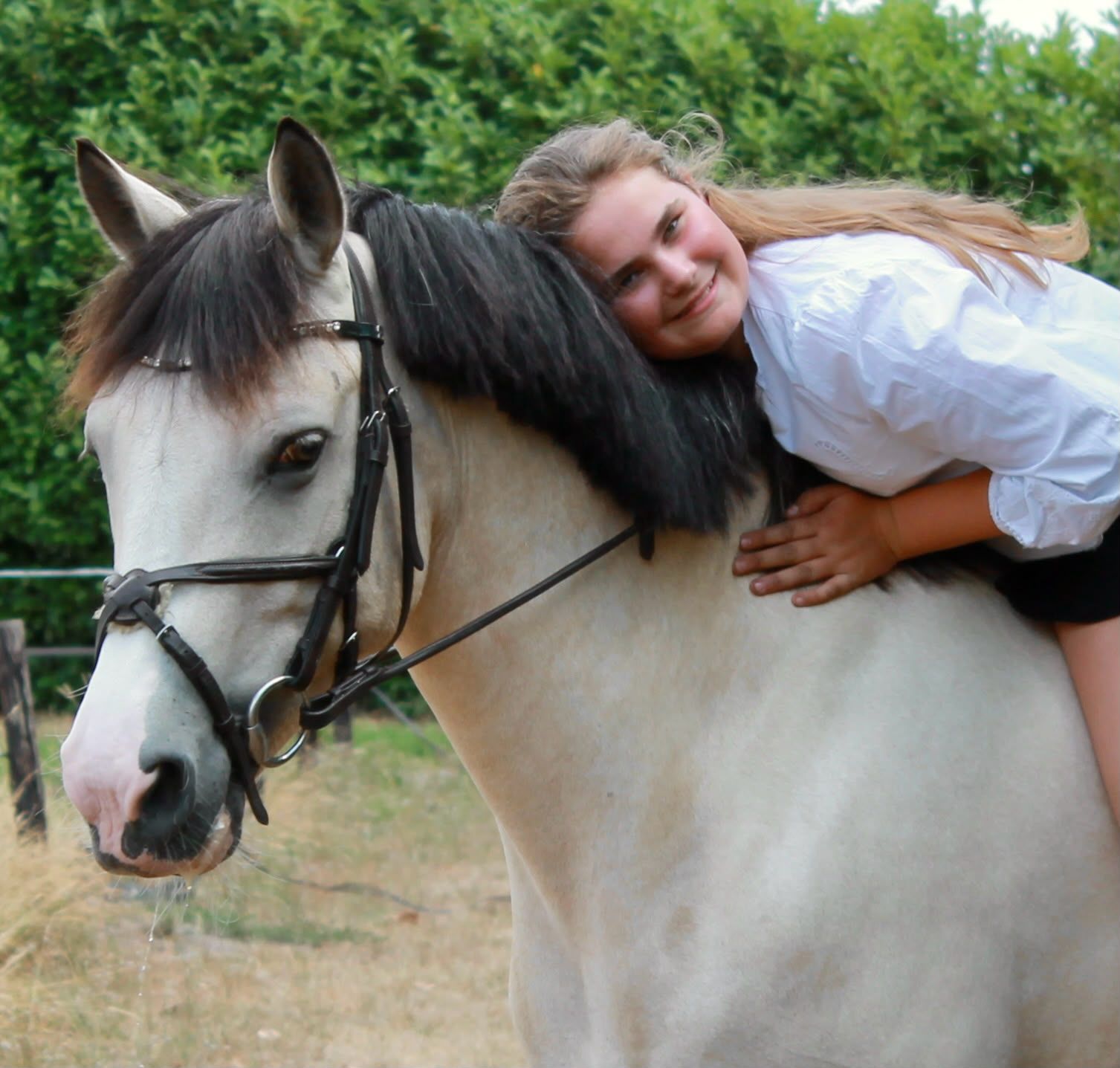 connemara allround-pony merrie 10 years old andere-kleur for sale - Photo 2