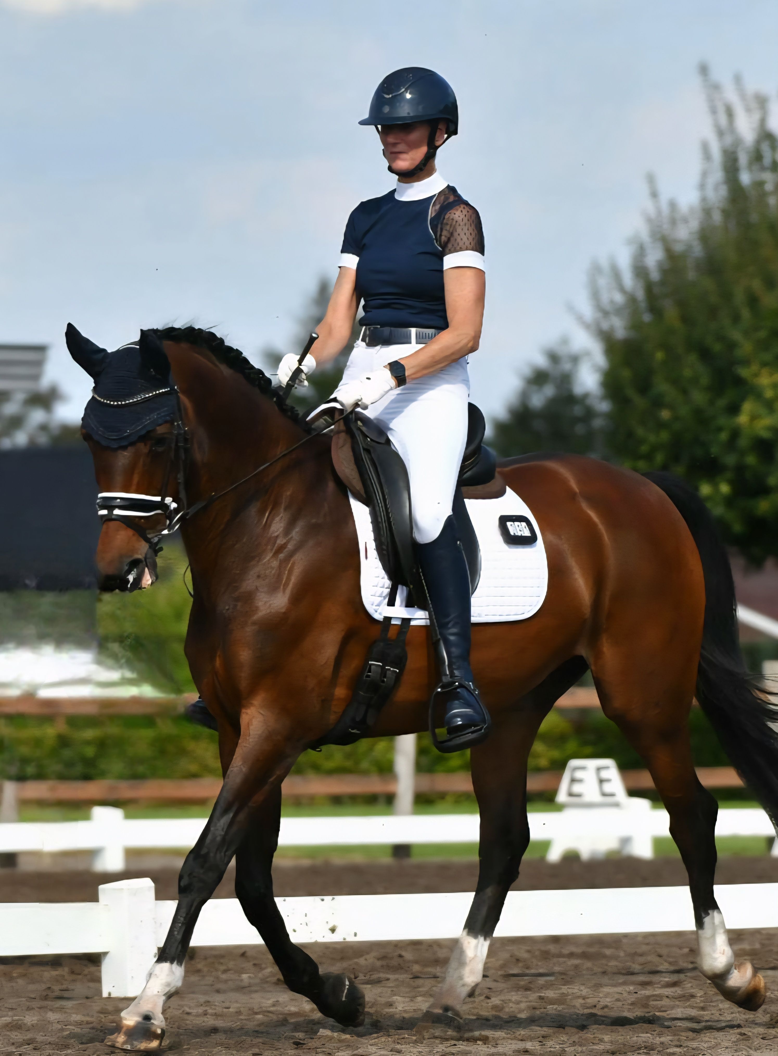 kwpn dressuurpaard merrie 16 years old bruin for sale - Photo 5
