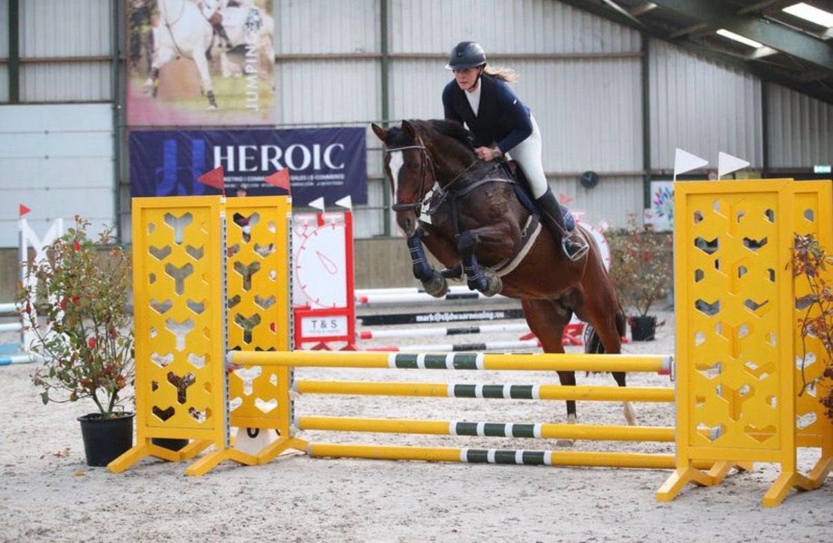 Stunning Stakkato Gold mare