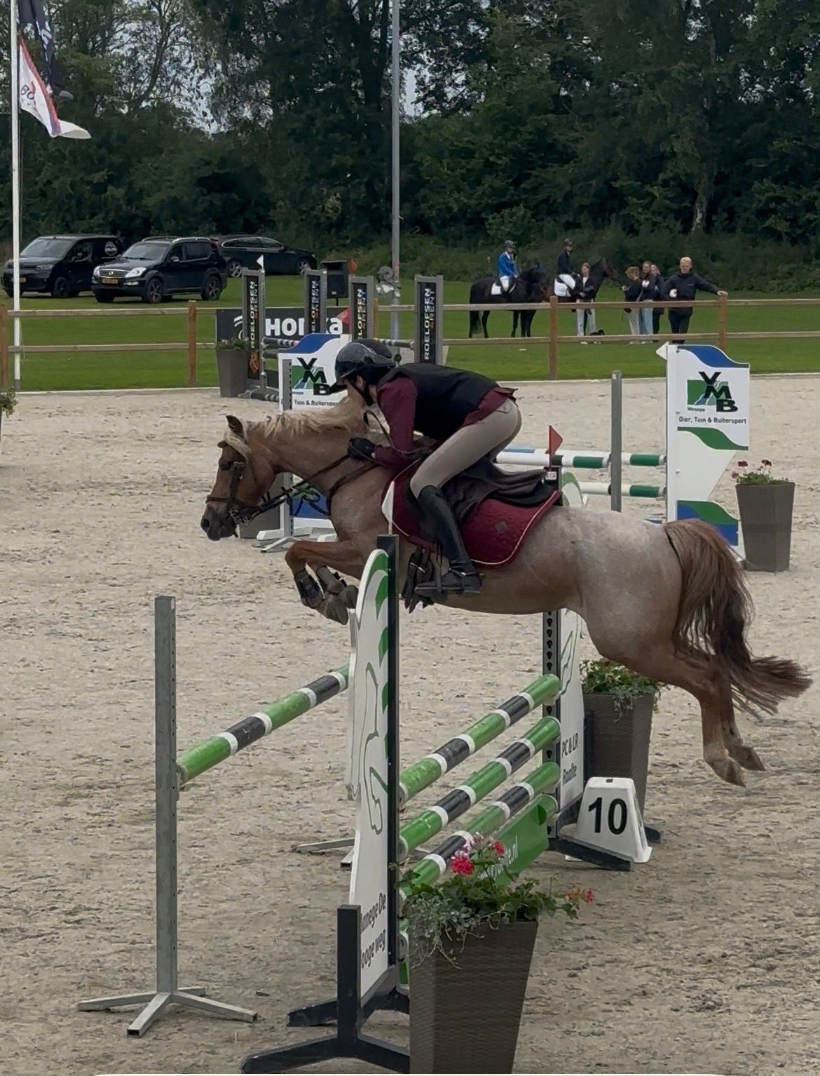 Talentvolles C-Pony