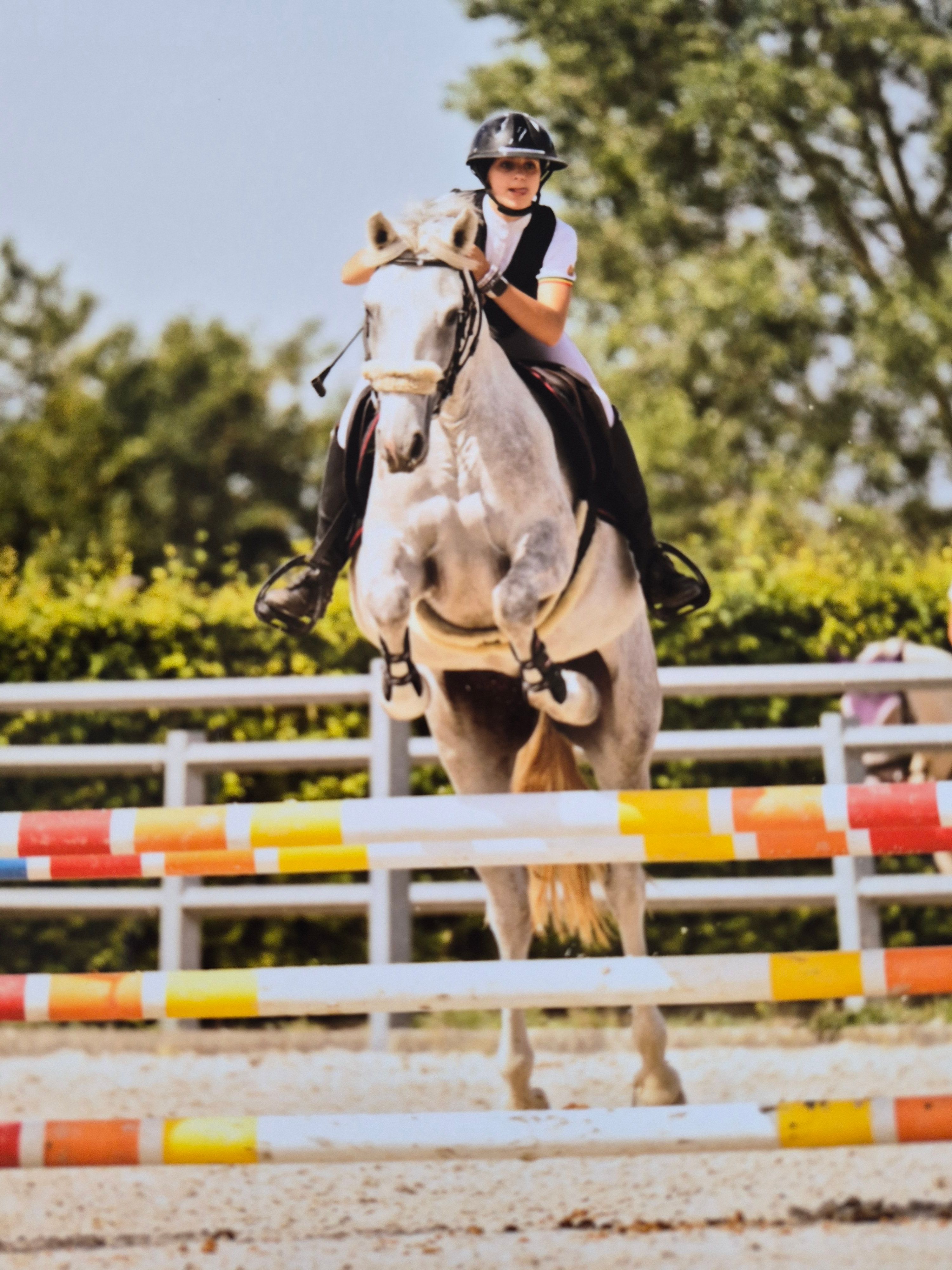 Jonge talentvolle pony