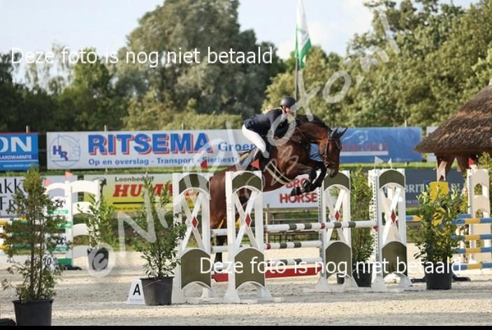 kwpn springpaard ruin 10 años donkerbruin en venta - Foto 4