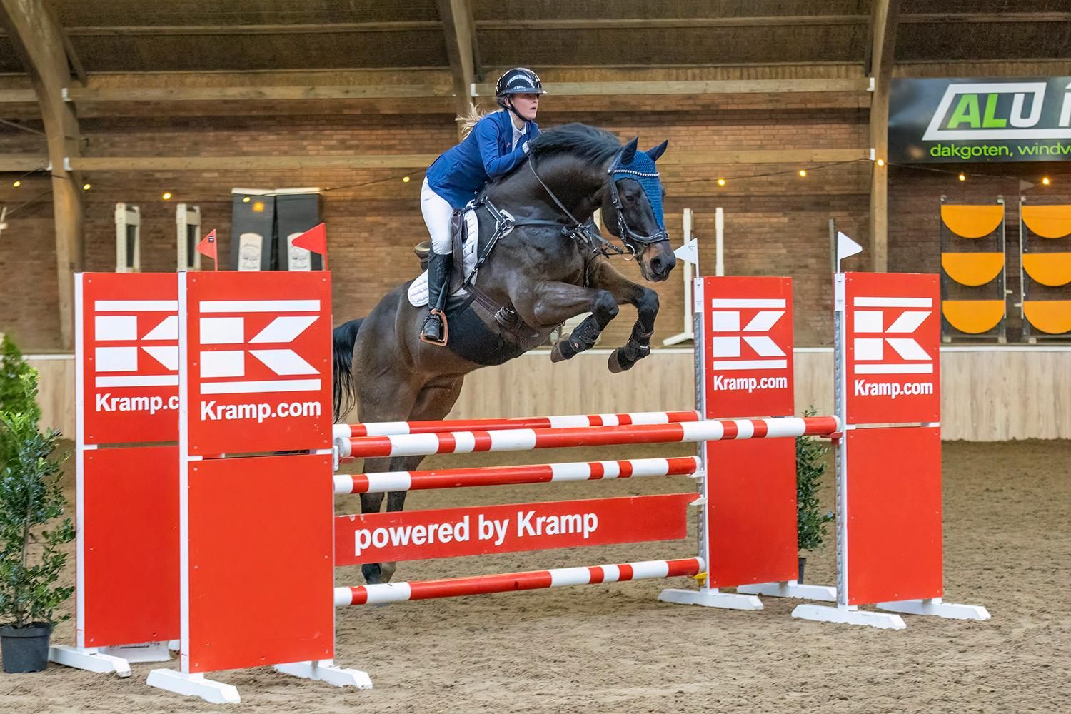 Leerpaard (springgefokt) met gouden karakter